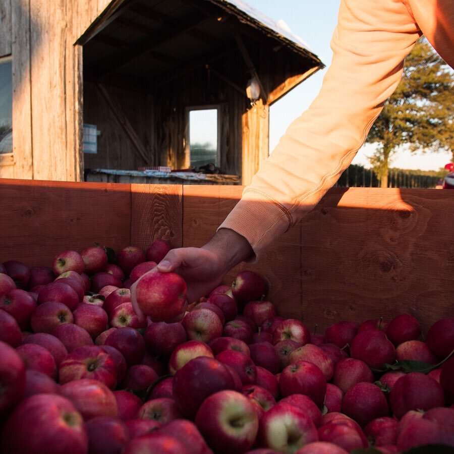 Happy Thanksgiving! We are open all weekend long from 9am to 7pm including Monday and have a ton of Honey Crisp and Gala apples ready for you! Come see us at the corner of Line 86 and Northfield. 

We&rsquo;ve also opened up a second location at the 