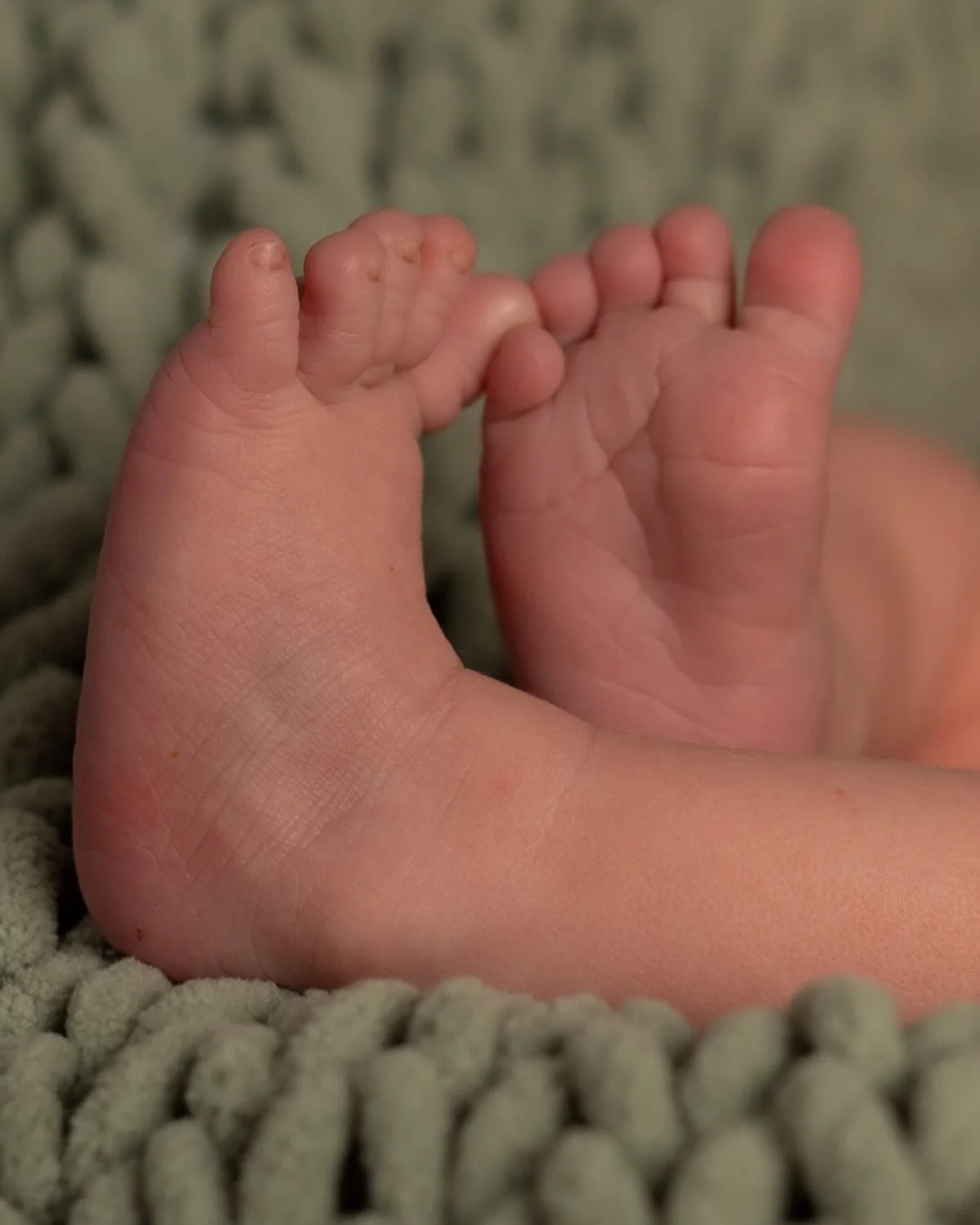 Baby toes are the sweetest thing. #newbornphotography #mainenewbornphotographer #maineportraitphotographer #mainephotography #familyphotographymaine #newbabies #newbornsession #newbornphotos #newbornportraits