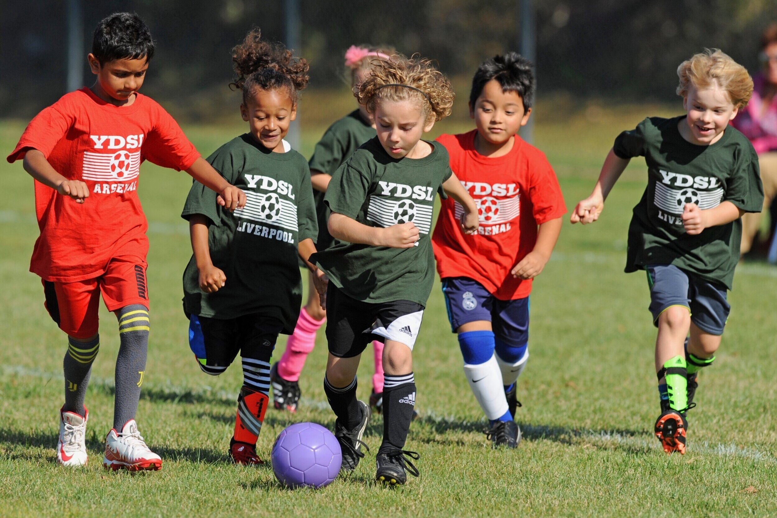 Friends of Hudson Youth