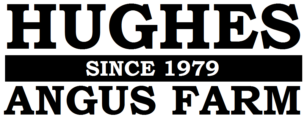 Hughes Angus Farm