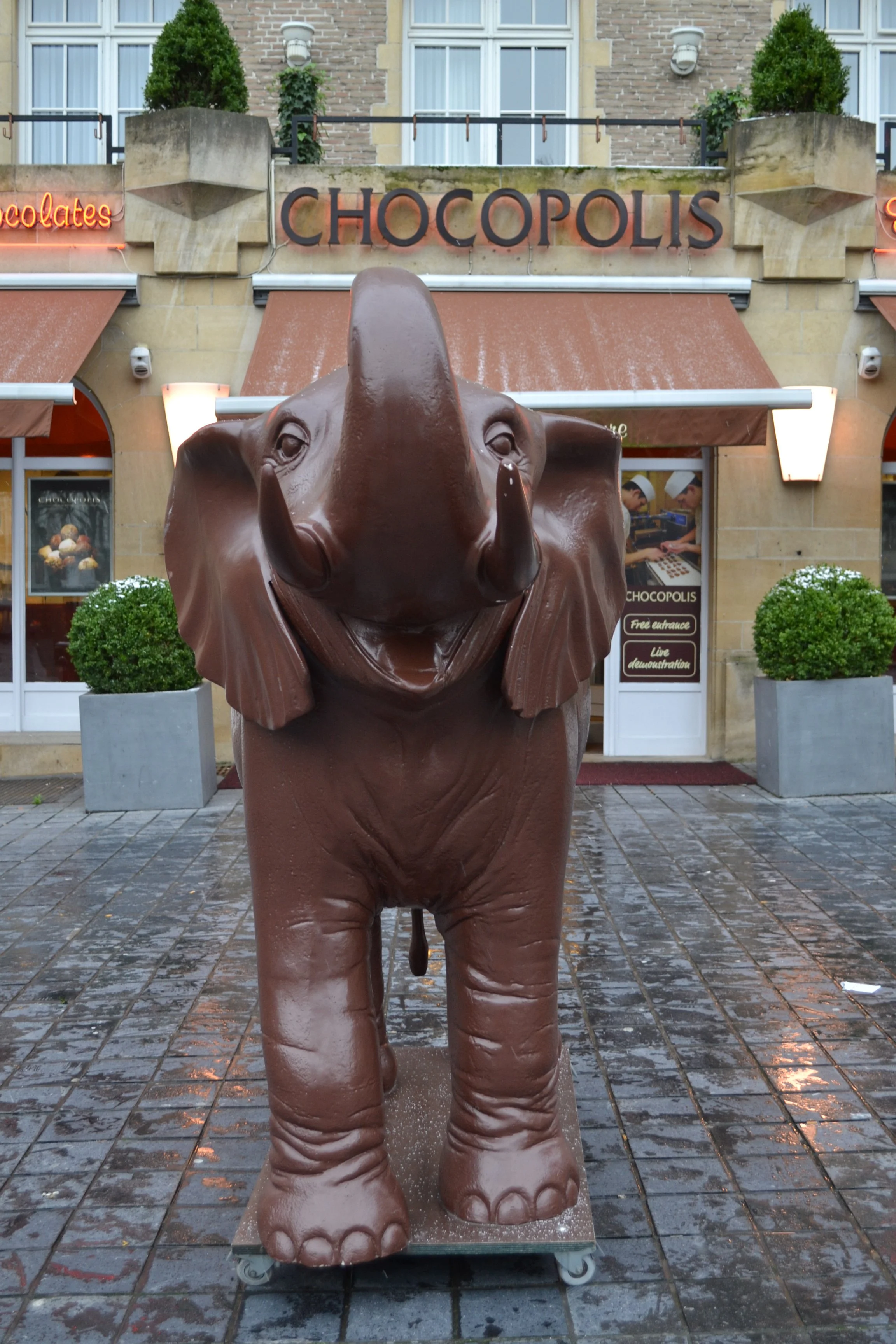 So many college to-dos... but what actually matters?