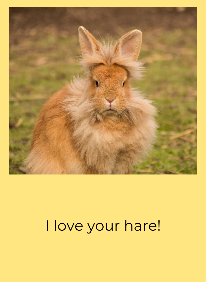 AWK TALK card rabbit with funny hair.