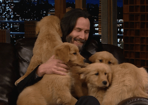 Keanu Reeves being love bombed by puppies.