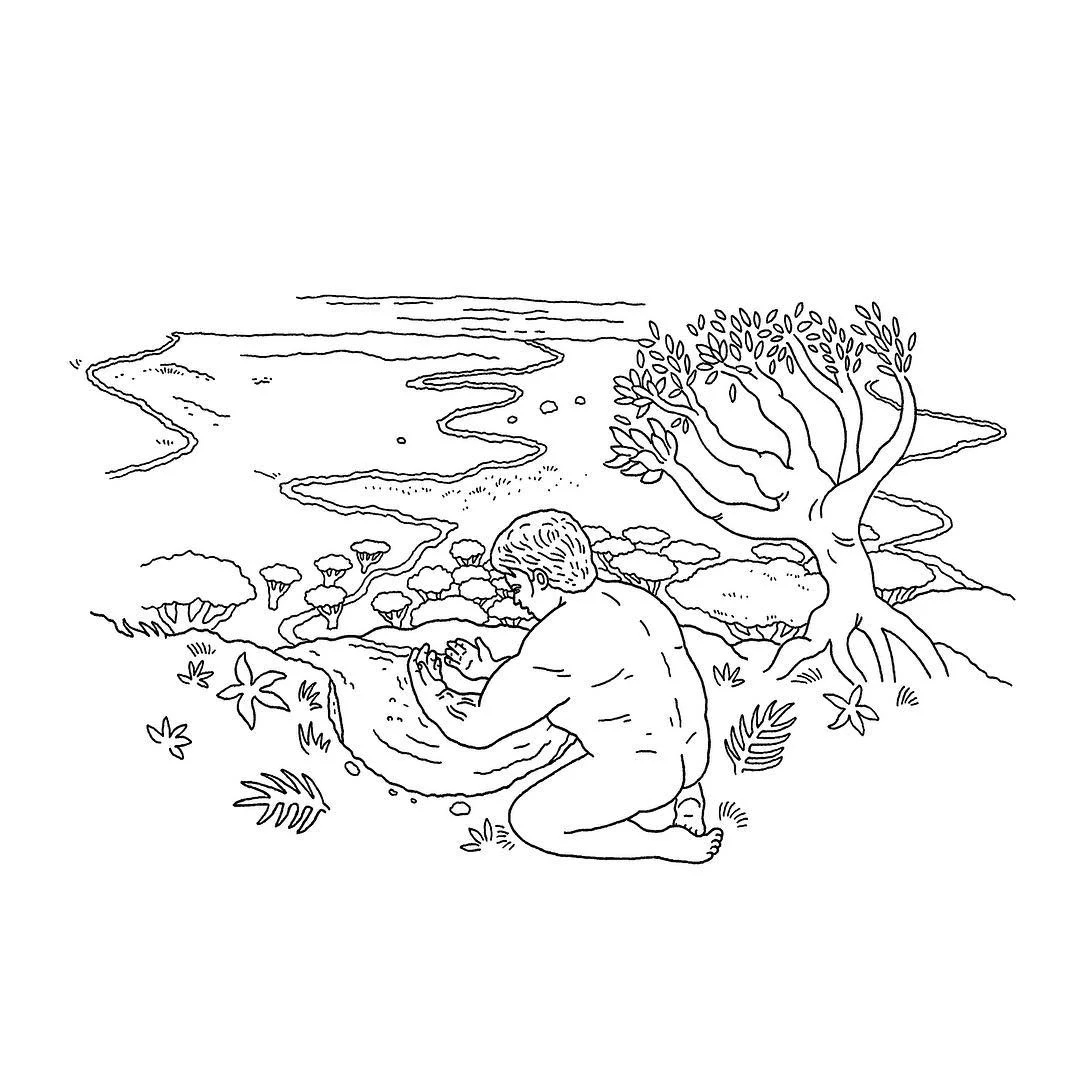 Whole Thing Wellspring.jpg