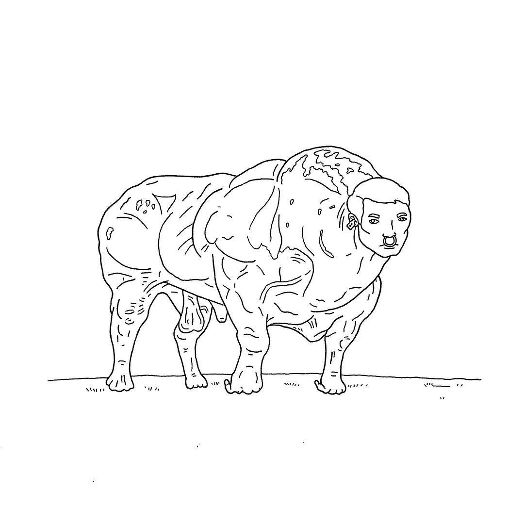 Whole Thing Muscle Bull.jpg