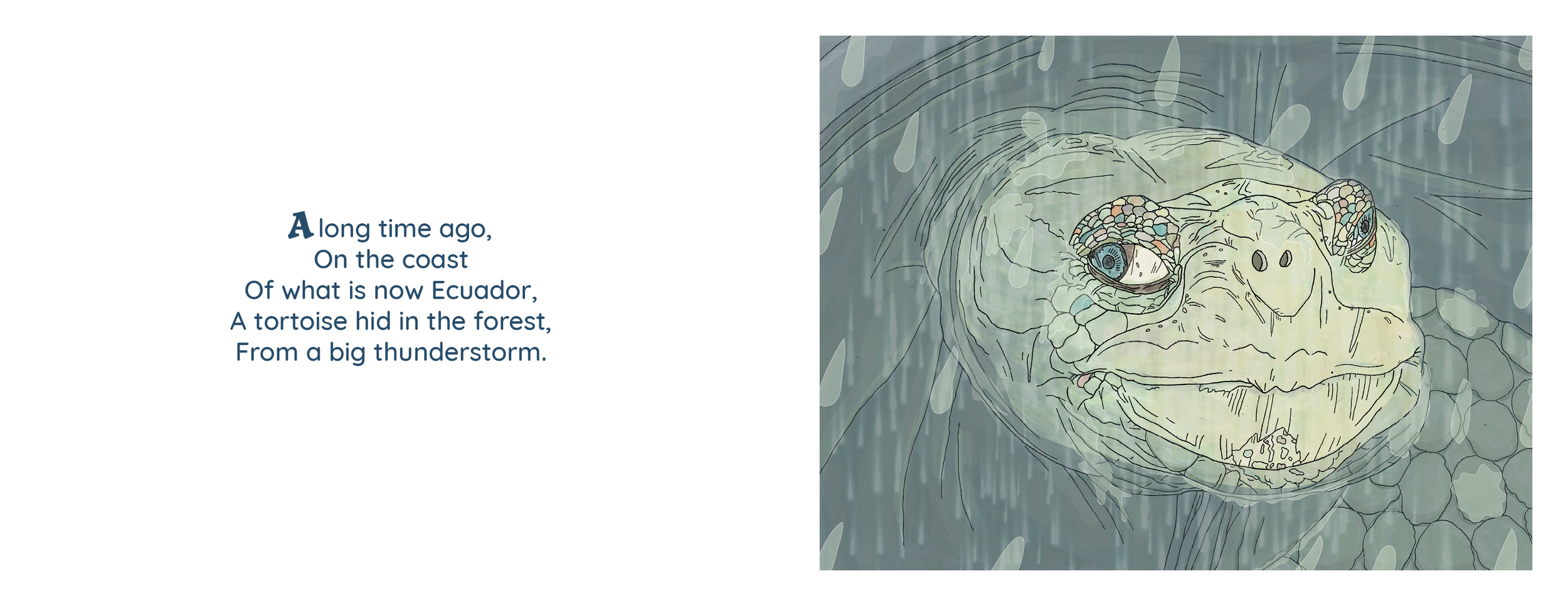 Galapagos Book File Formatting V84.png