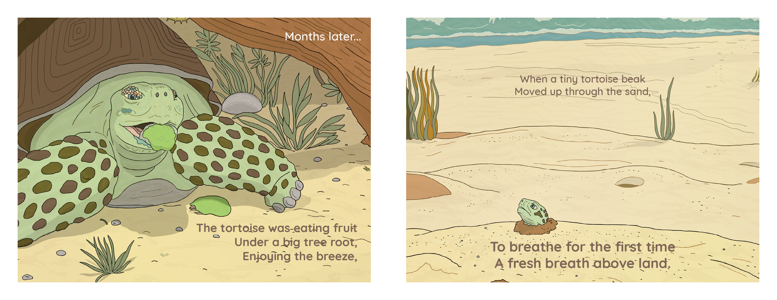 Galapagos Book File Formatting V822.png