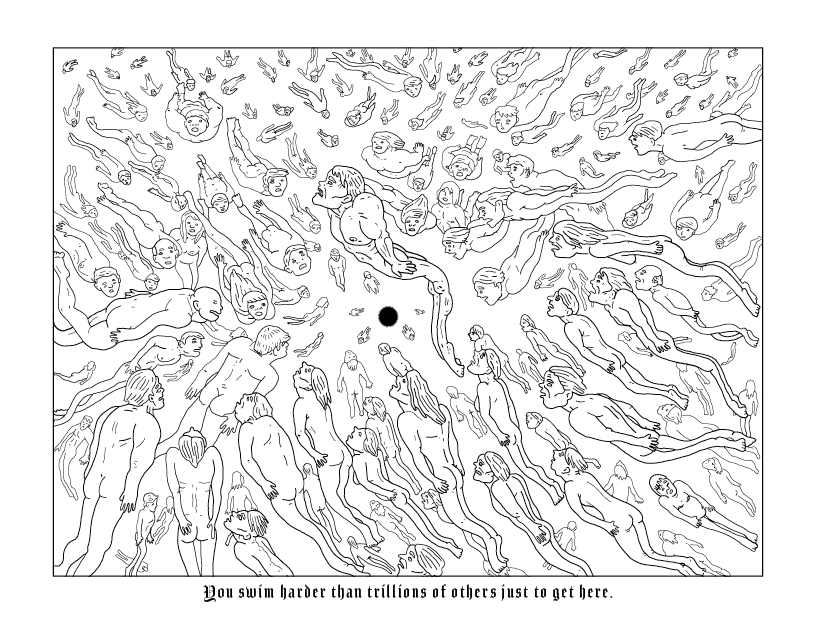 The Whole Thing 2024 Abridged Final TXT PNGS 9614.png