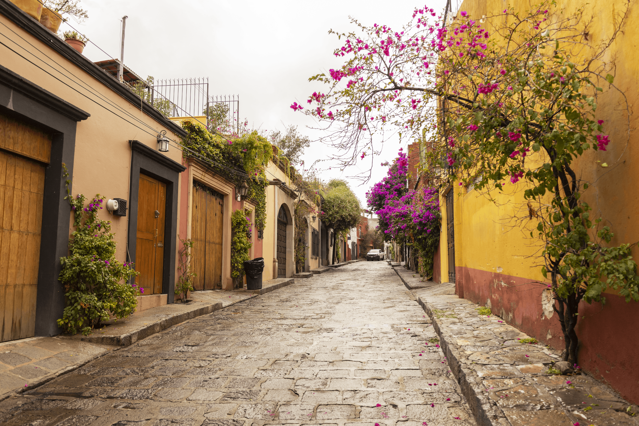 San Miguel Street.png