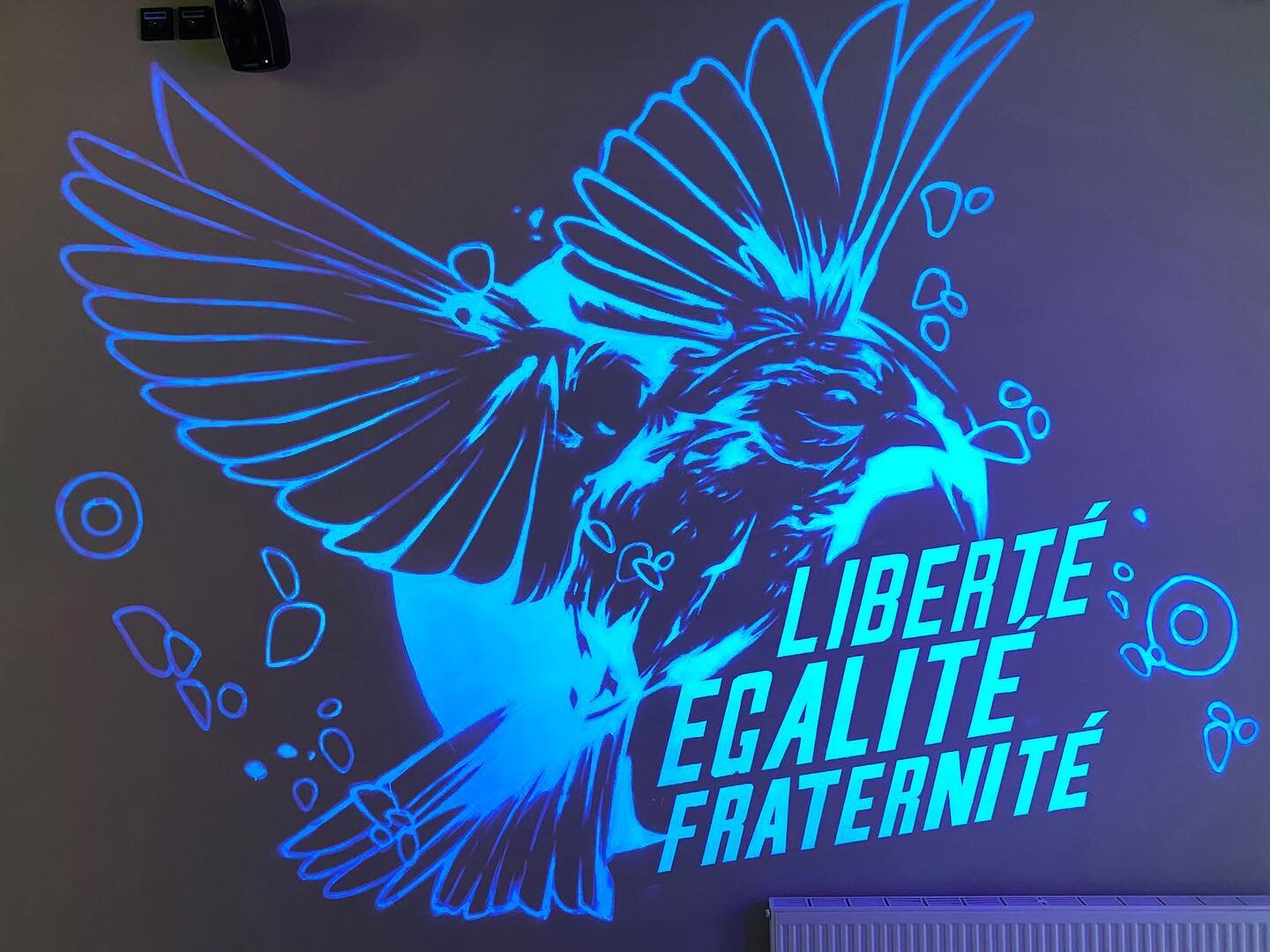 Libert&eacute; Egalit&eacute; Fraternit&eacute; 🕊⠀
⠀
⠀
A UV piece I painted earlier this year while in Malm&ouml; working with @artscape_festival ⠀
⠀
📍 Arena Triangln for @vasakronanab ⠀
⠀
Painted this all with Montana UV paint under black light an