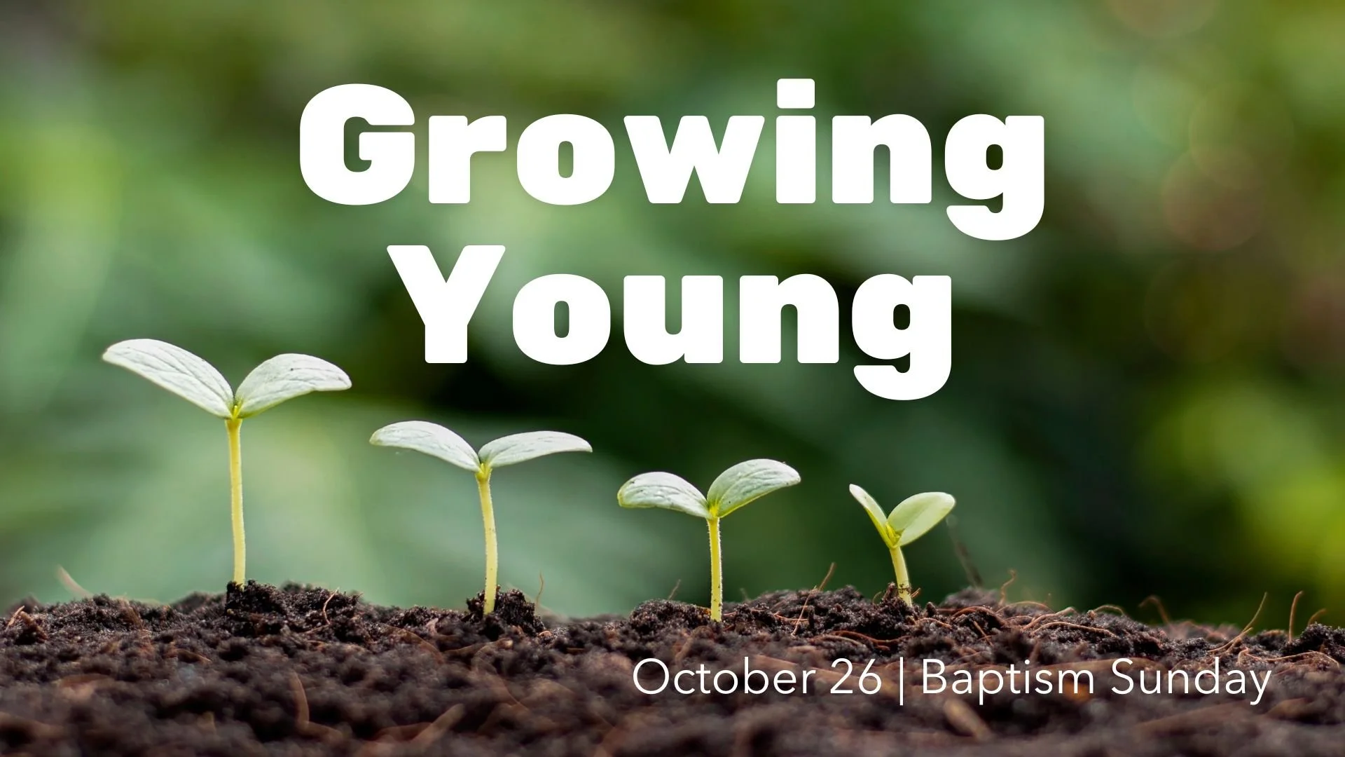 Growing Young (10).jpg