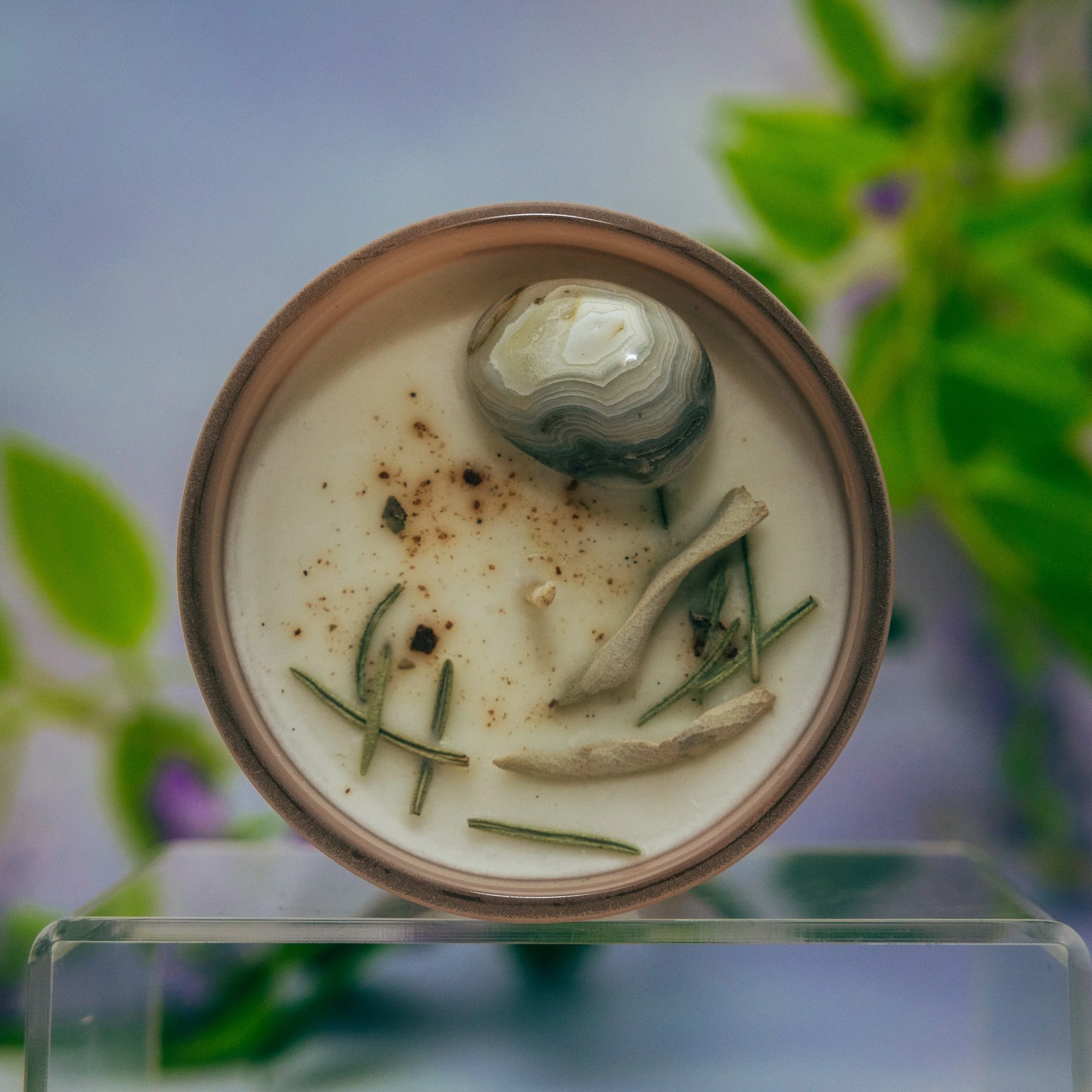 Close-up of a spherical geological or mineral specimen with concentric layers in a scientific container. Blurred green and purple plants in the background.