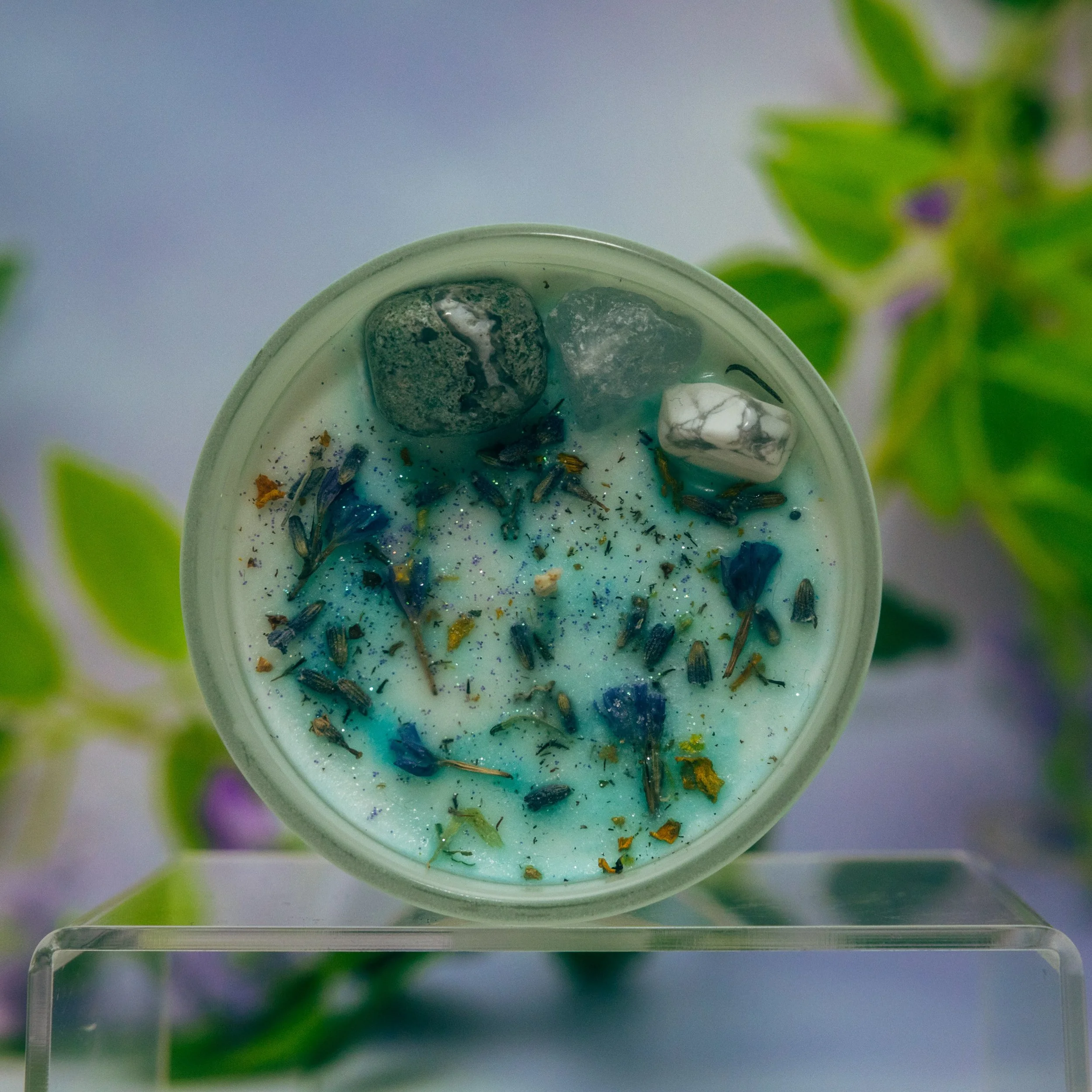 A small container holds various small objects on a light blue surface with green and purple out-of-focus foliage around the edges.