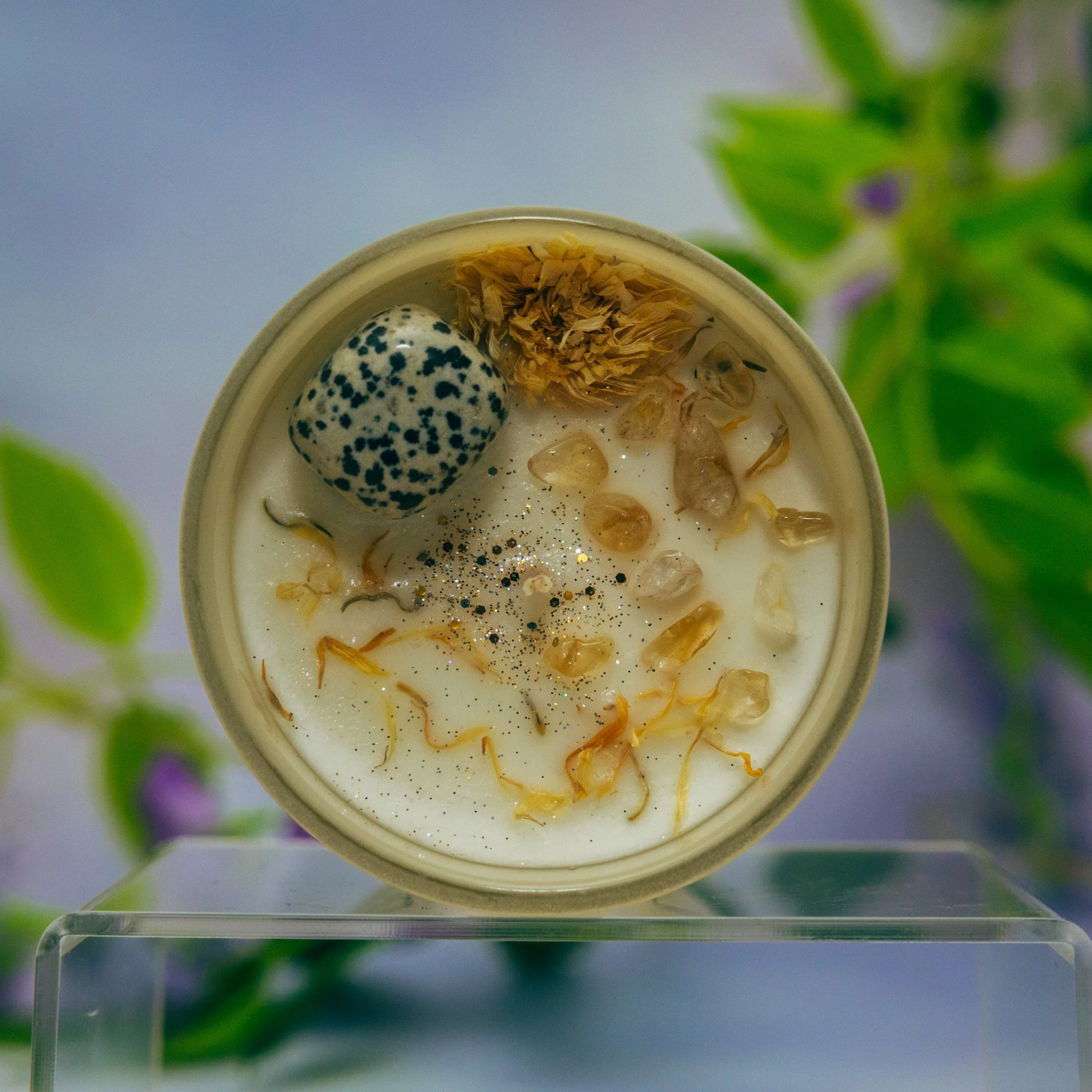 Close-up of a small container with a quail egg, dried herbs, and some other small food items, with green leafy plants in the background.