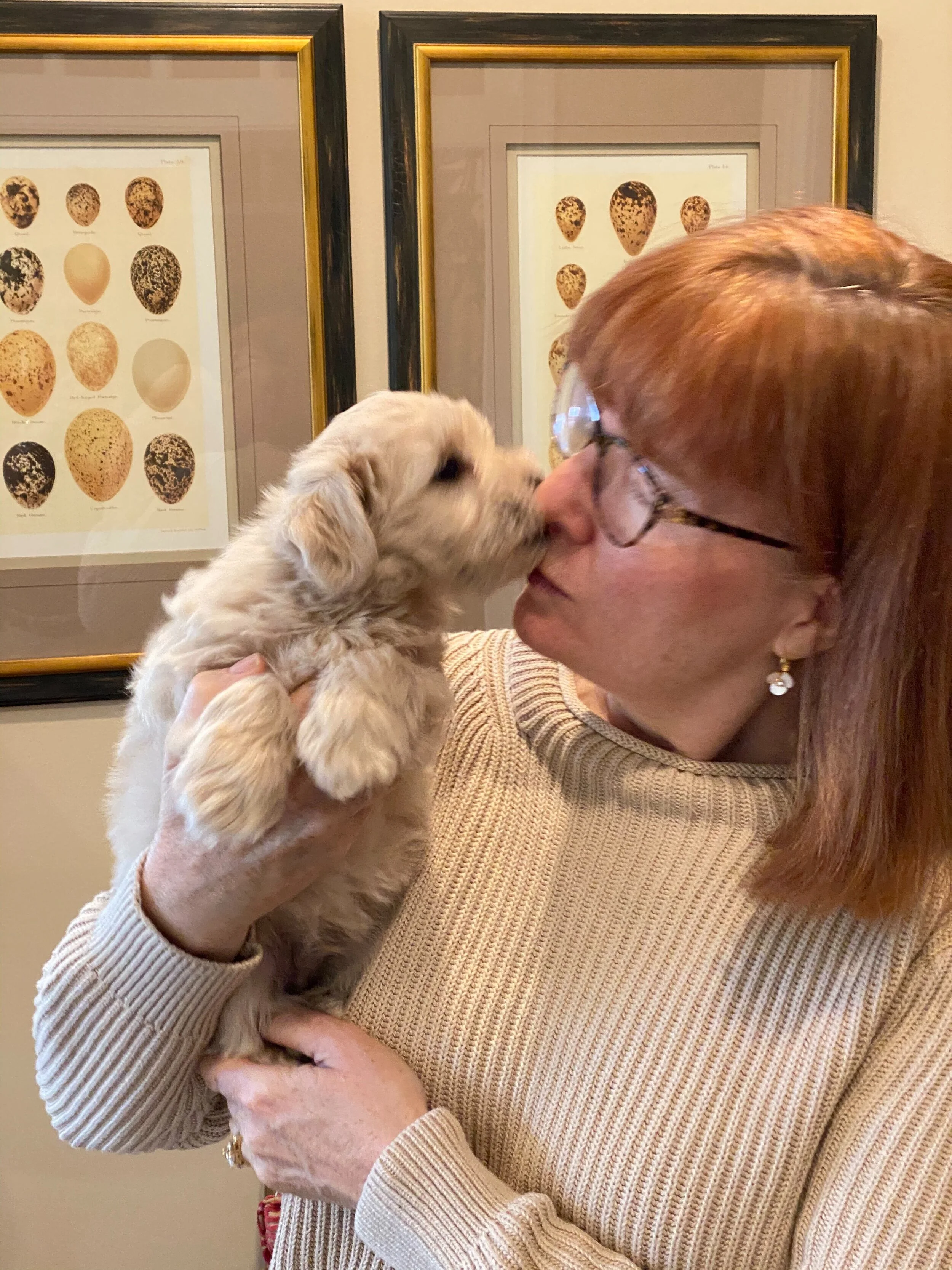 A woman with red hair and glasses holding a golden retriever puppy close to her face, about to kiss it, in front of framed pictures of eggs on the wall.