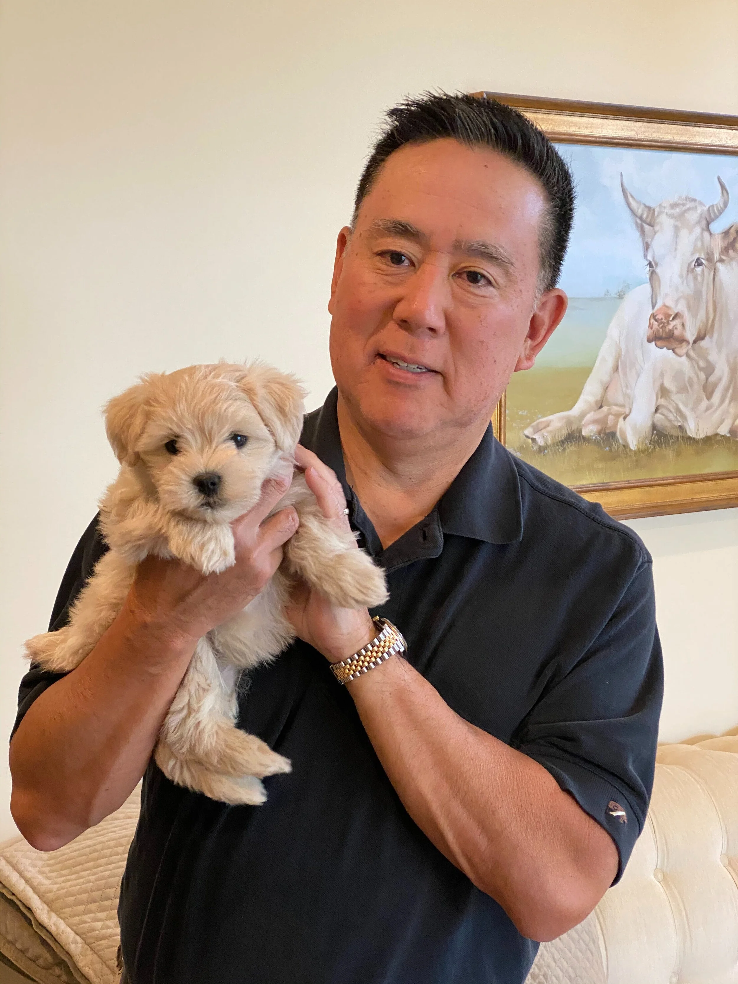 A man with short dark hair and a gold watch on his wrist holding a small, fluffy tan puppy. They are indoors, with a painting of a white cow with horns on the wall behind them.