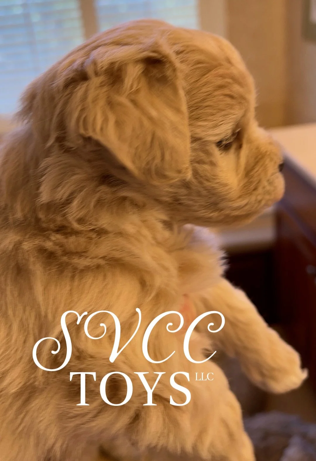 Close-up of a golden retriever puppy with one paw resting on a surface, looking to the right. The background includes a window with blinds. Text overlay reads 'SVCC TOYS LLC' in white.