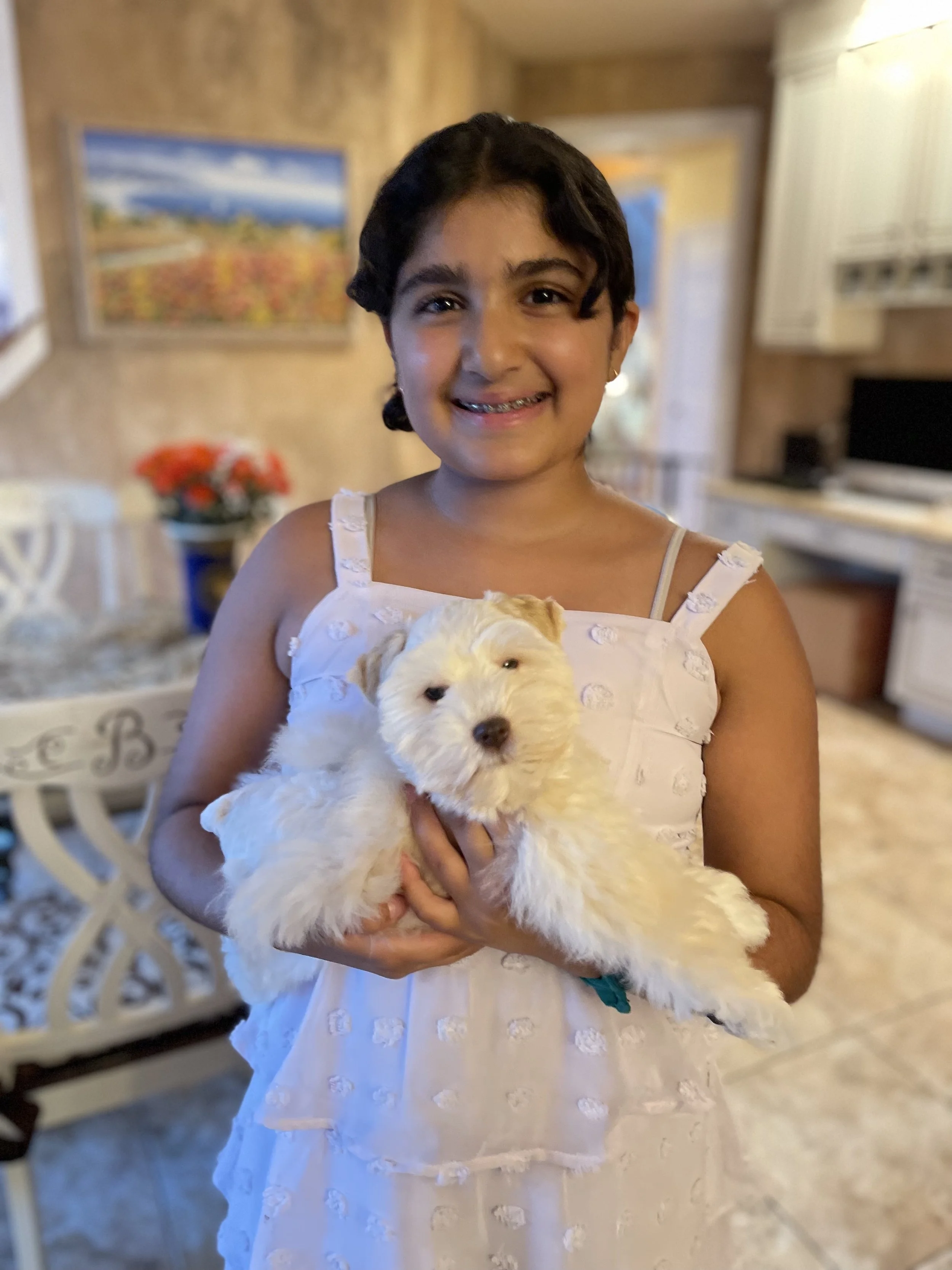 A young girl with short dark hair, wearing a white dress with embroidered flowers, is holding a fluffy white puppy indoors. She is smiling at the camera, and the background features a kitchen with white cabinets and a colorful painting on the wall.