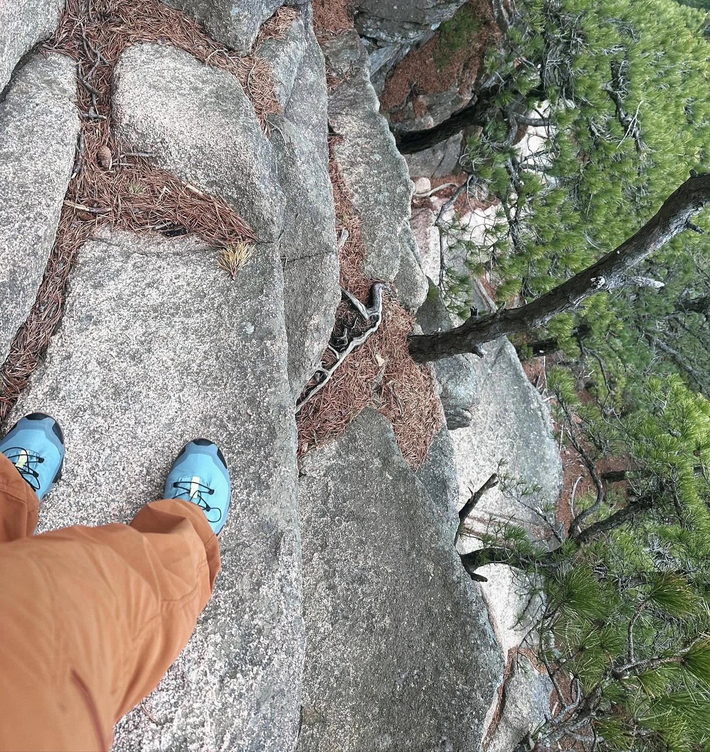 Facing my fear of climbing and falling. The link to this story along with audio in my bio links.