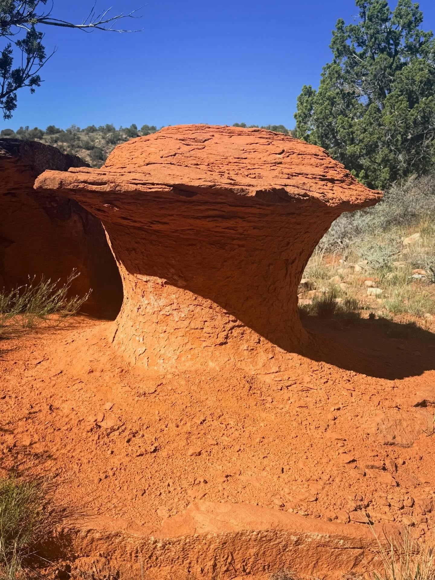 Arrived in Sedona to stop for a few days and visit with my dearest friend from high school. The red rocks and hearts are surrounding us. 

When I arrived there was an hour delay in meeting up so I hung out in a square listening to a wonderful singer 