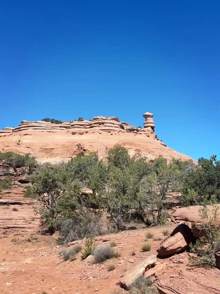 Devils Canyon, Fruita, CO - seven mile loop filled with vistas, birds, and wildflowers.