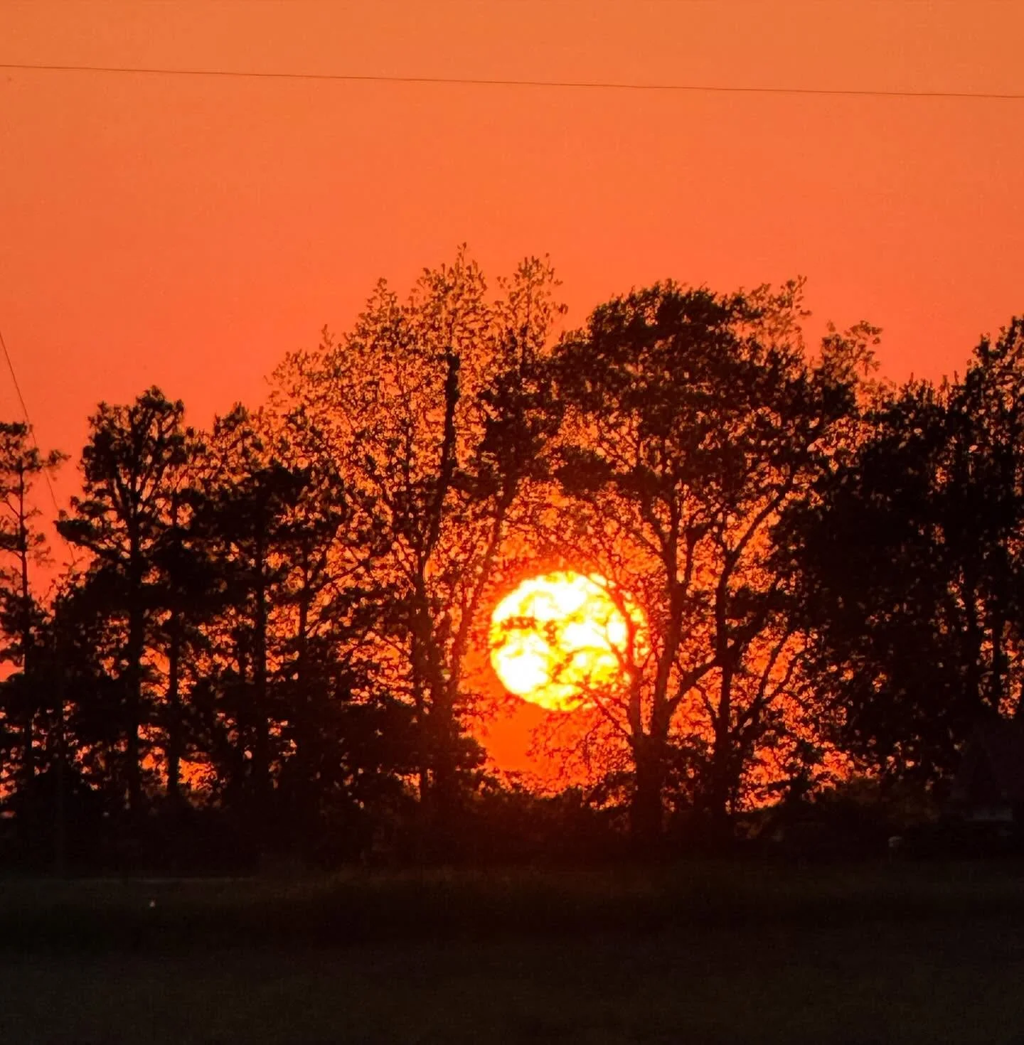 A journey through Tennessee - from Memphis to Nashville where I got to hear the amazing @cayleehammack at the Bluebird and Third lunchtime songwriters round. Then I made my way to the Smokey Mountains. ❤️