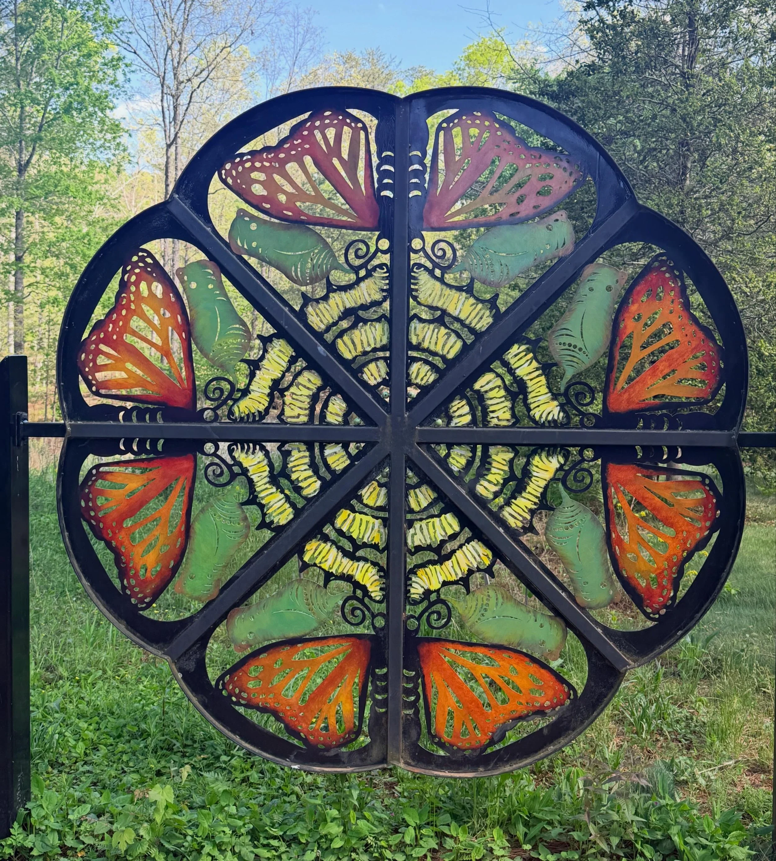 The colors of springtime in Asheville. I had never seen butterflies gather like that.