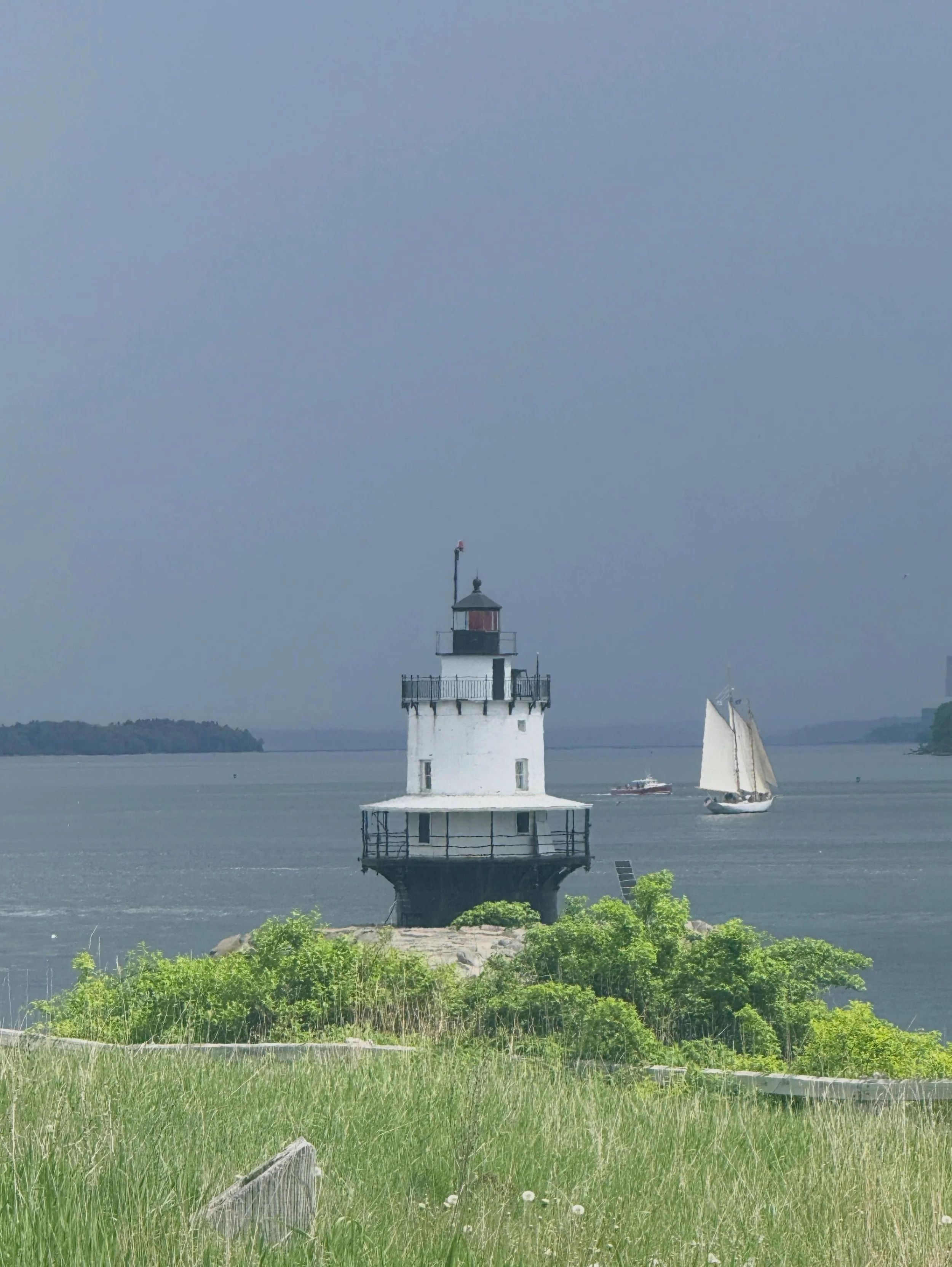 Spring Point magic this morning 🩷