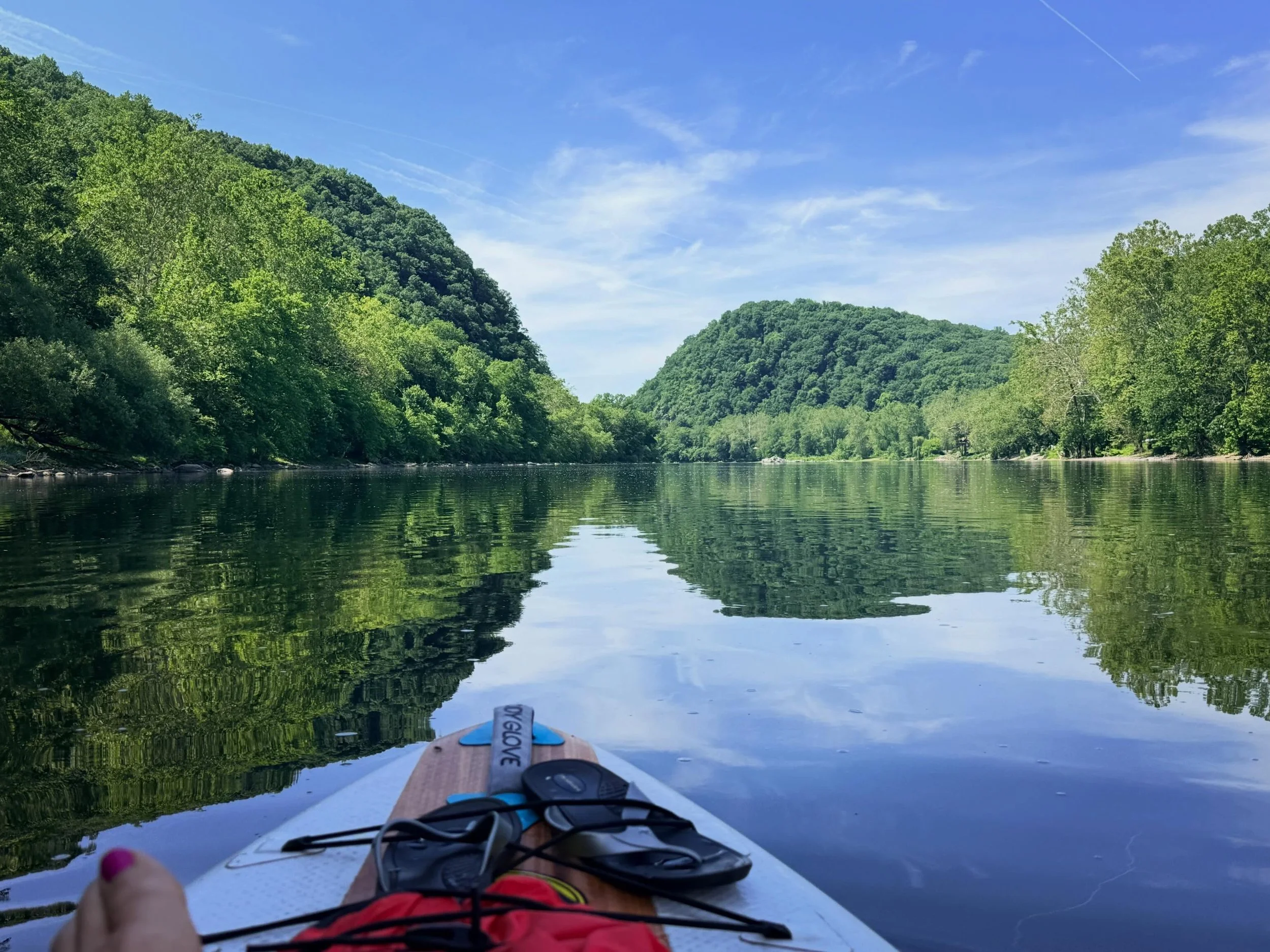 Paddling on the Delaware River with Bald Eagles everywhere. Eight of them were soaring above me for over an hour.