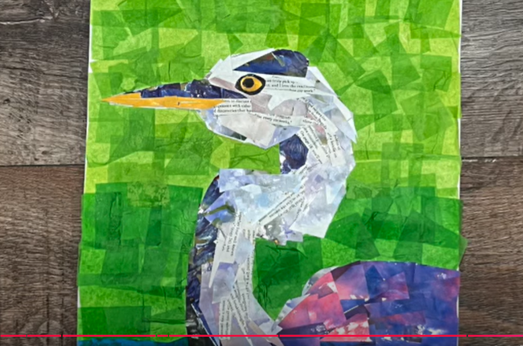 Water Bird Collage