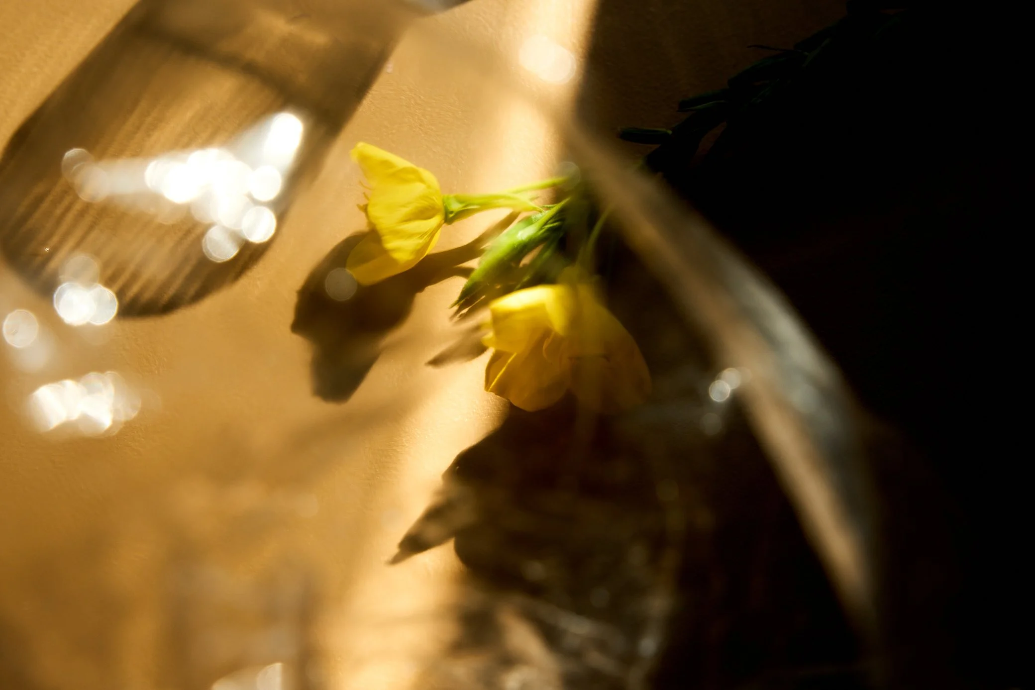 Still-life-product-organisch-botanisch-bloemen-natuurlijk-Iris-Koopmans-Fotografie 14.jpg