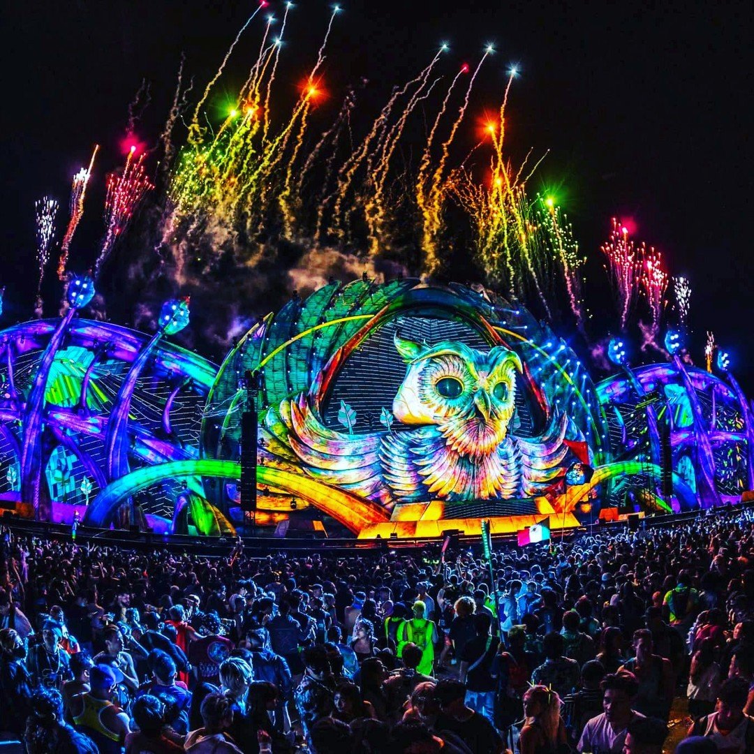 Catch a shuttle bus to EDC Las Vegas! Don&rsquo;t get stuck in the crowd and ride with M Ride safely from dusk till dawn. We still have seats available on our luxury shuttles.🎉

⚡️Shuttle pass includes 1 or 3 days roundtrip travel to Vegas Motor Spe