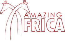 amazing-africa-desktop-logo-223w.png
