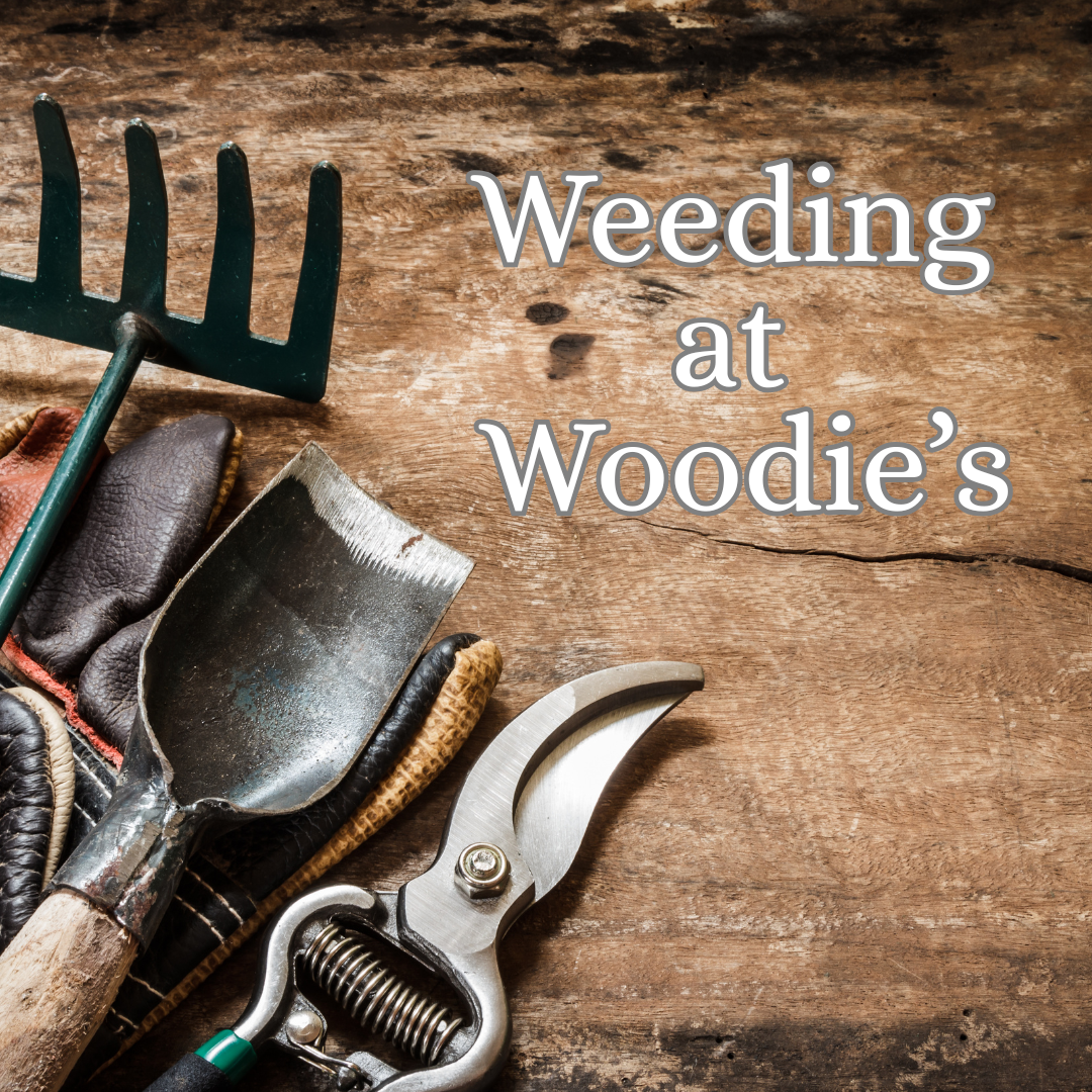Weeding at Woodie’s