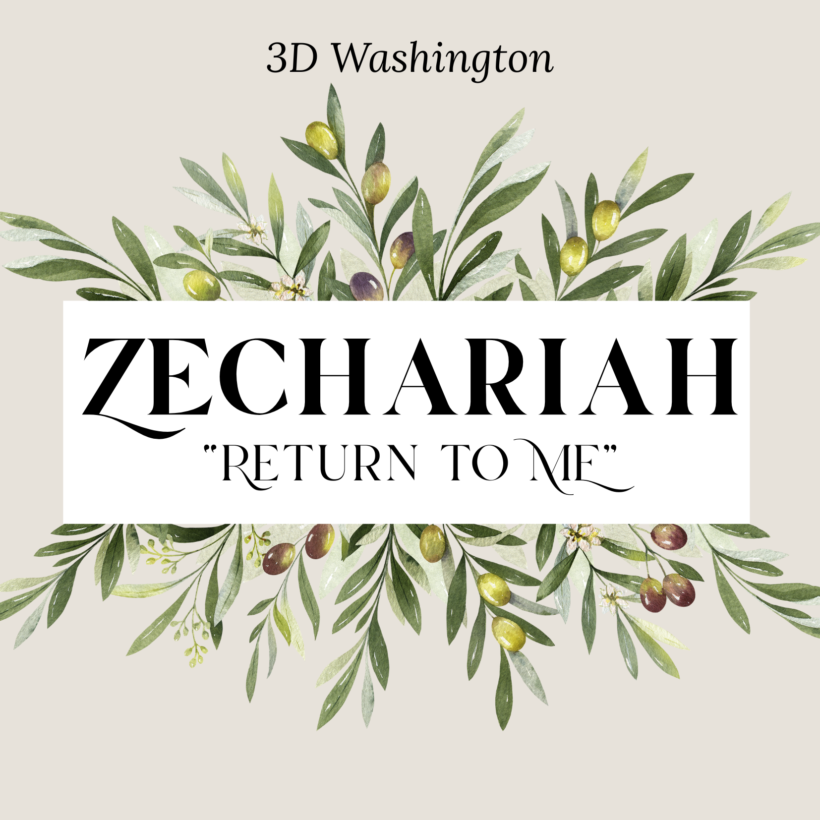 3D Zechariah Conference