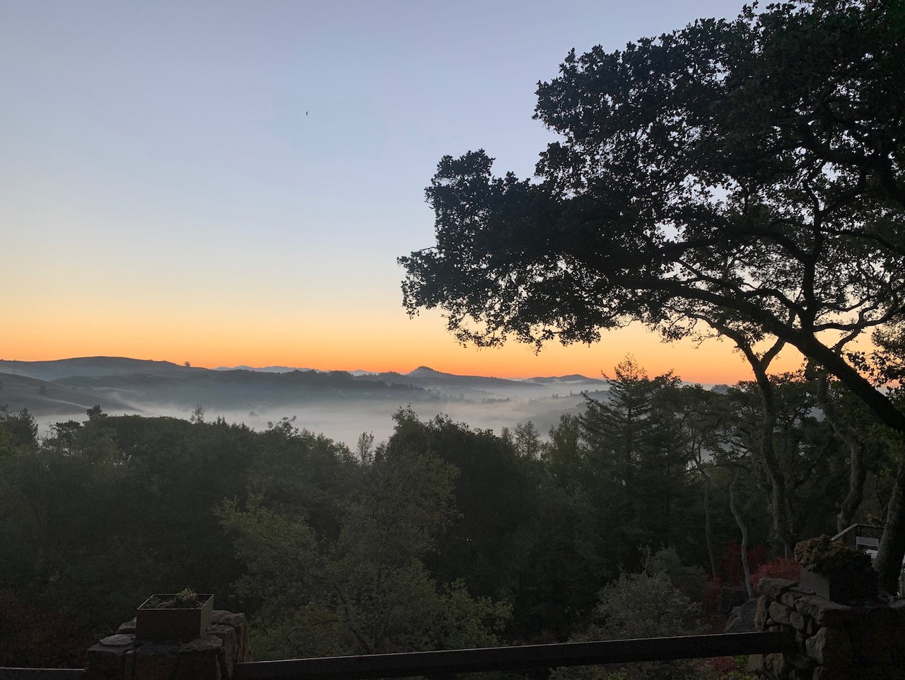 IMG_0012.jpeg