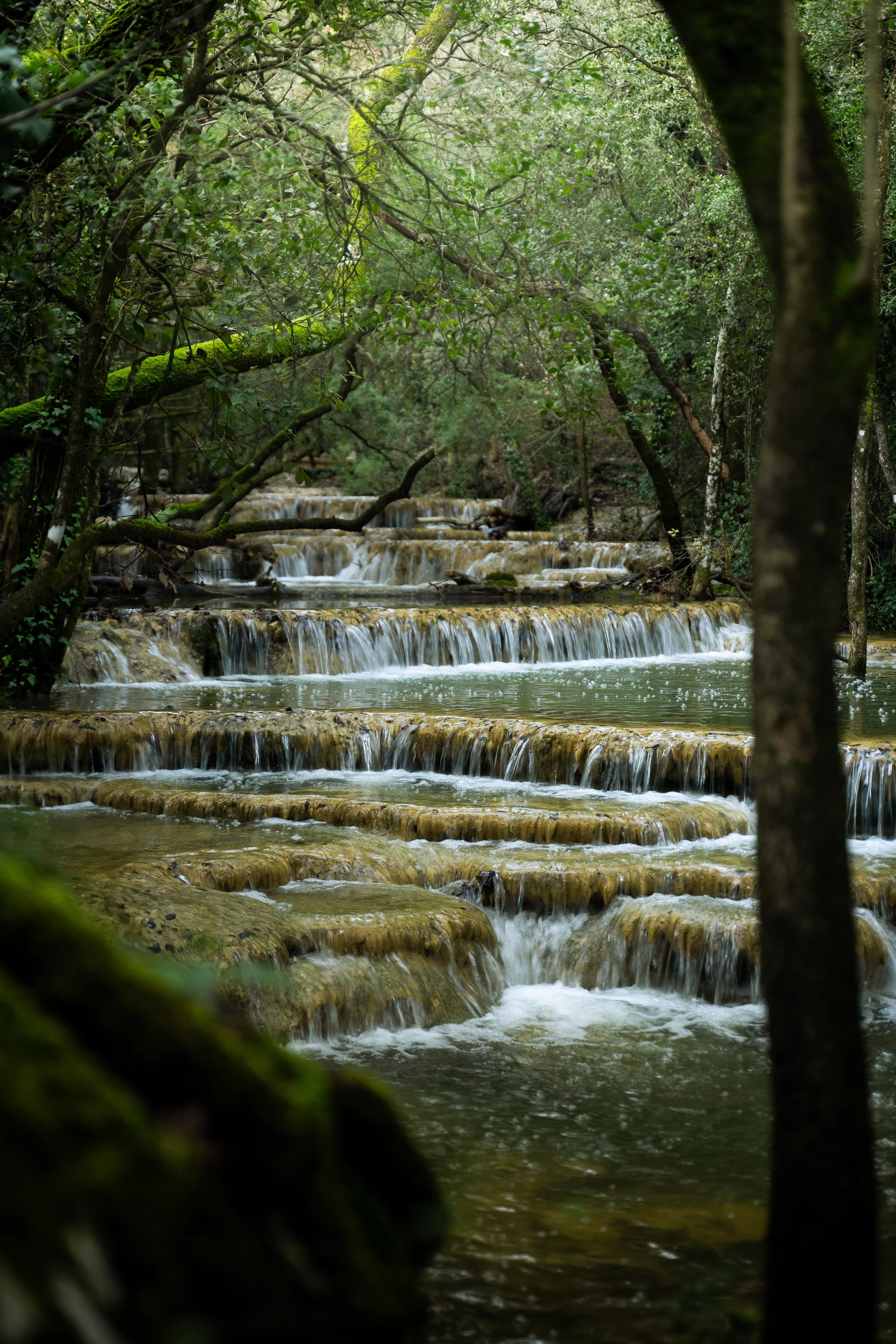 DSC07287-2.jpg
