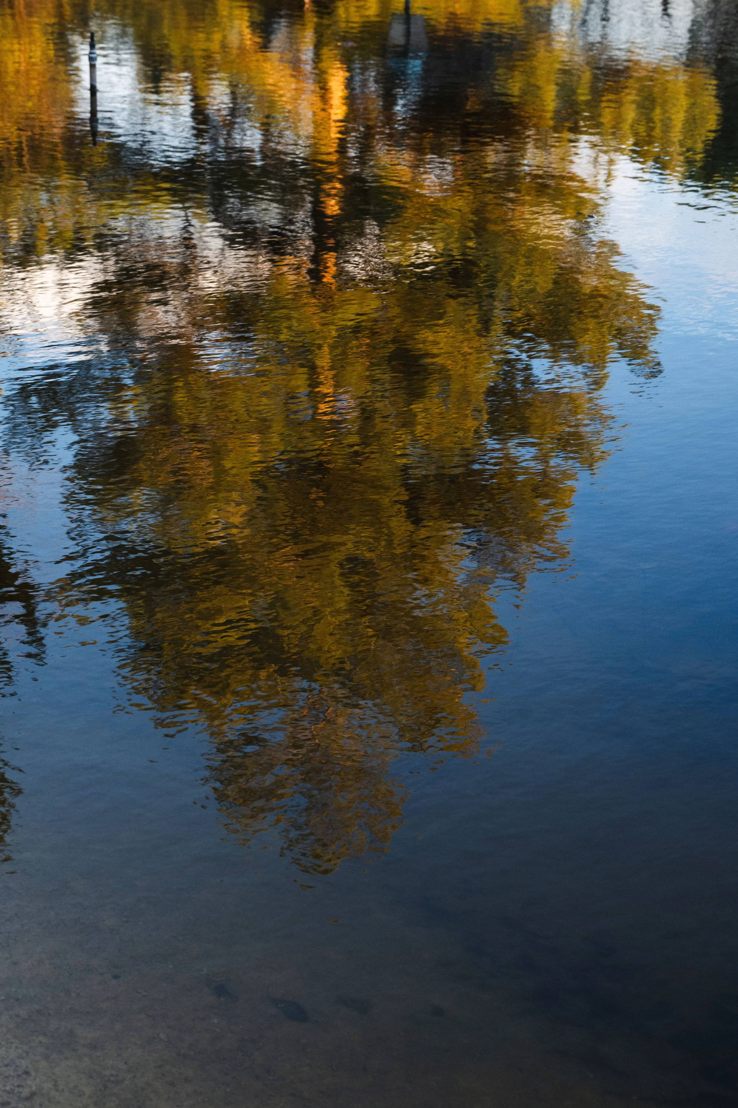 Se marier en hiver : les conseils d’un photographe