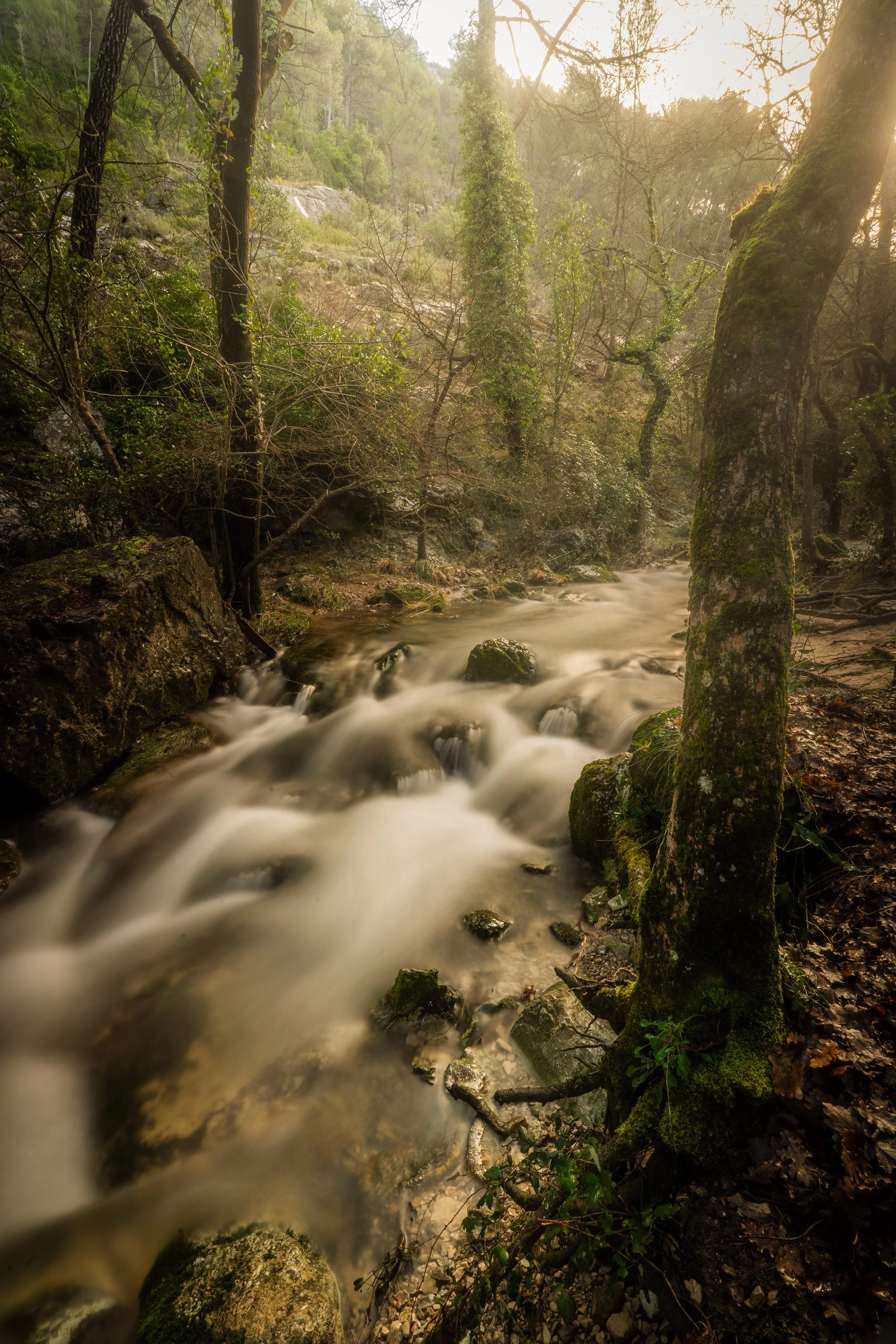 les sources de l'huveaune