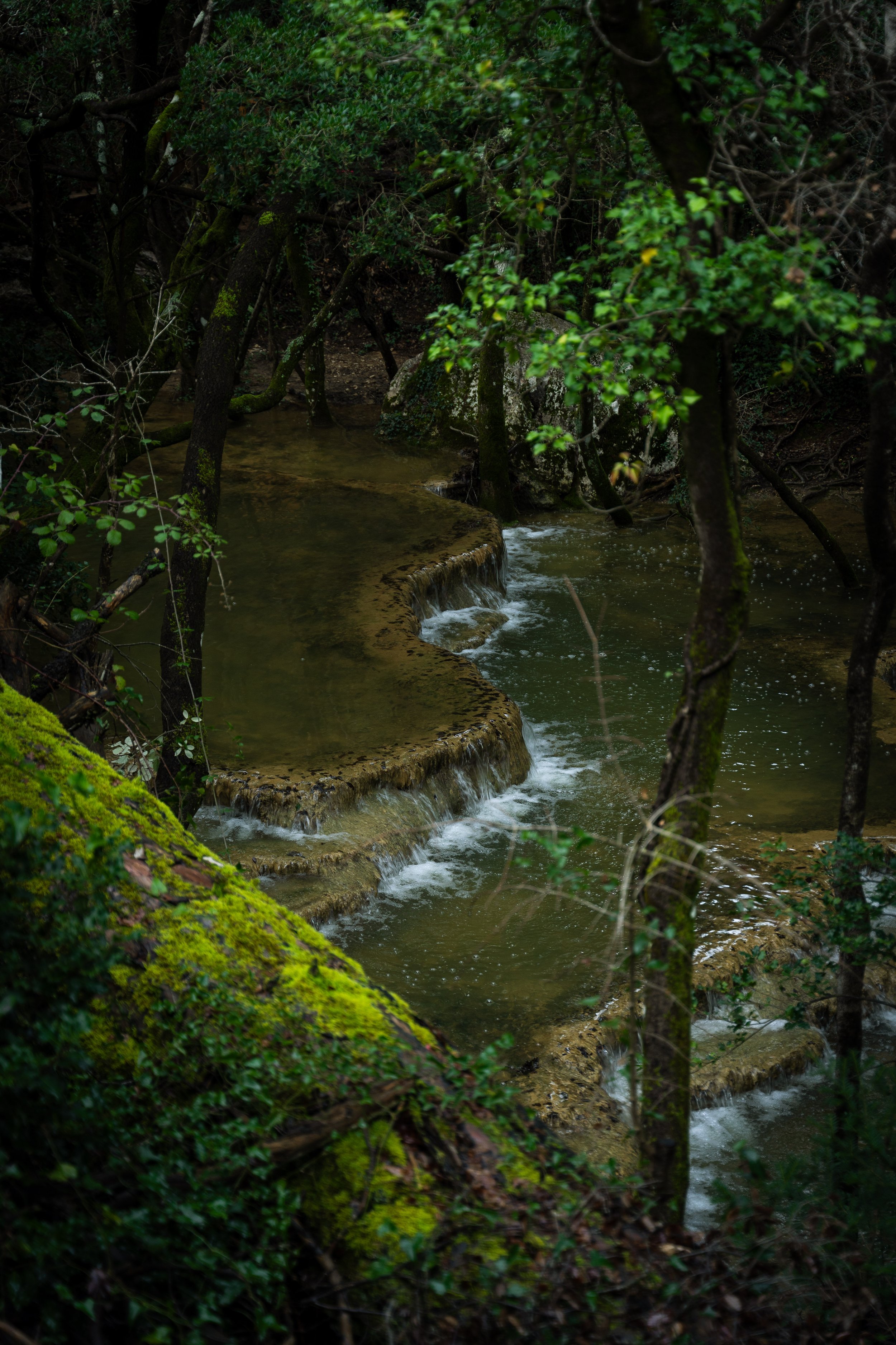 DSC07280.jpg