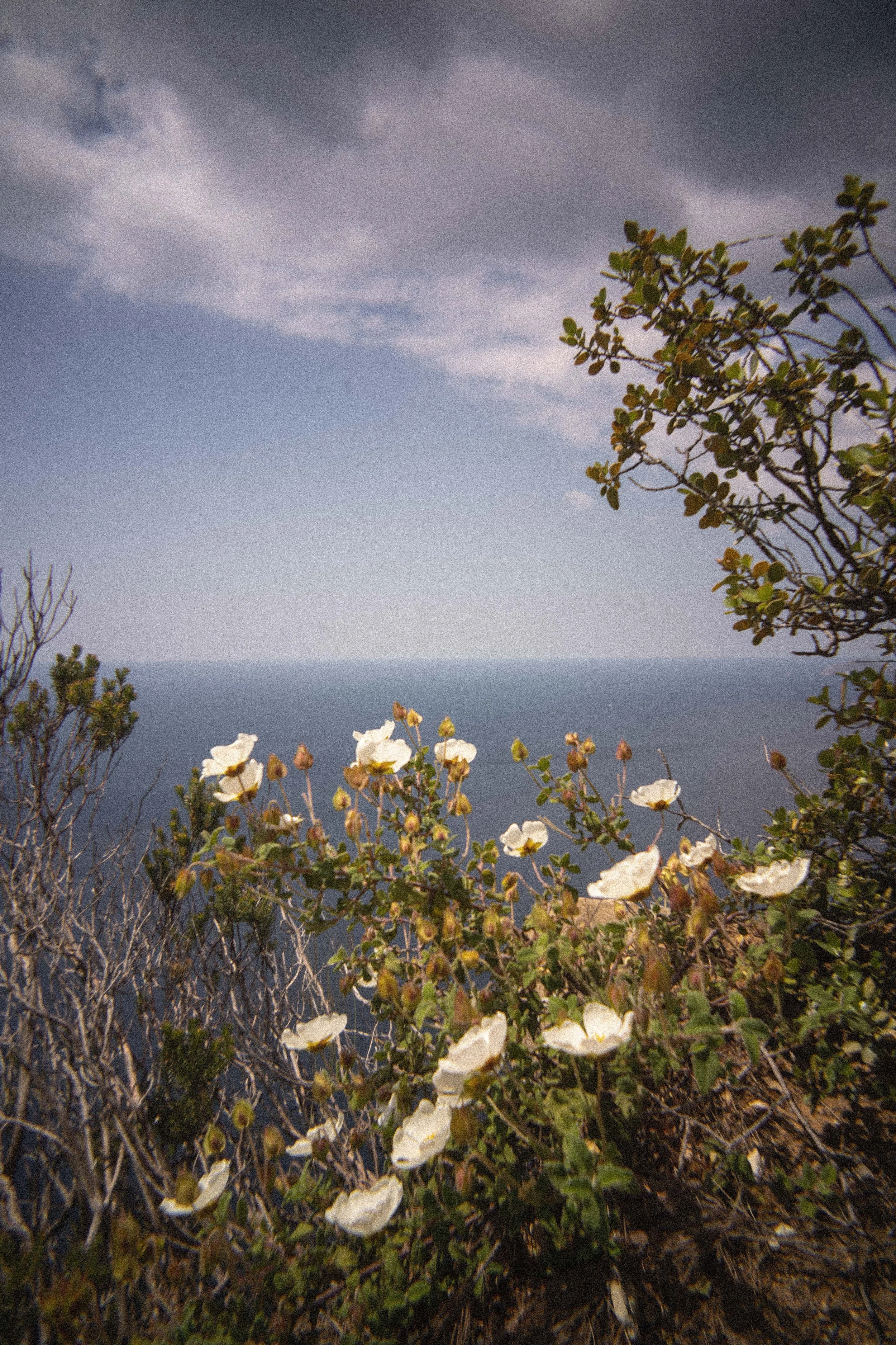 DSC09081.jpg