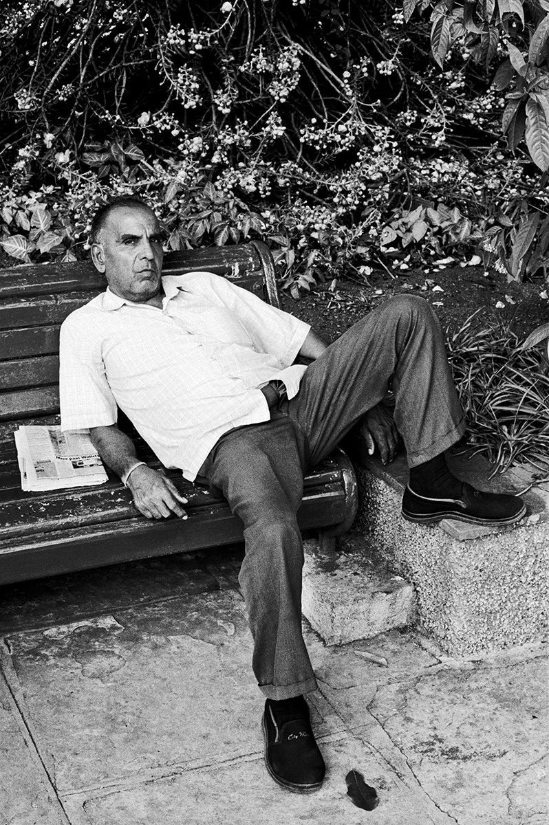 Man-City-Garden_Horniman Circle Garden3.jpg