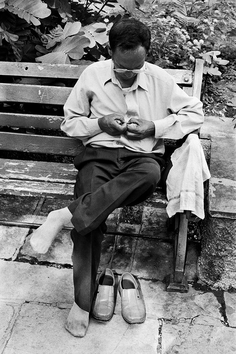 Man-City-Garden_Horniman Circle Garden9.jpg