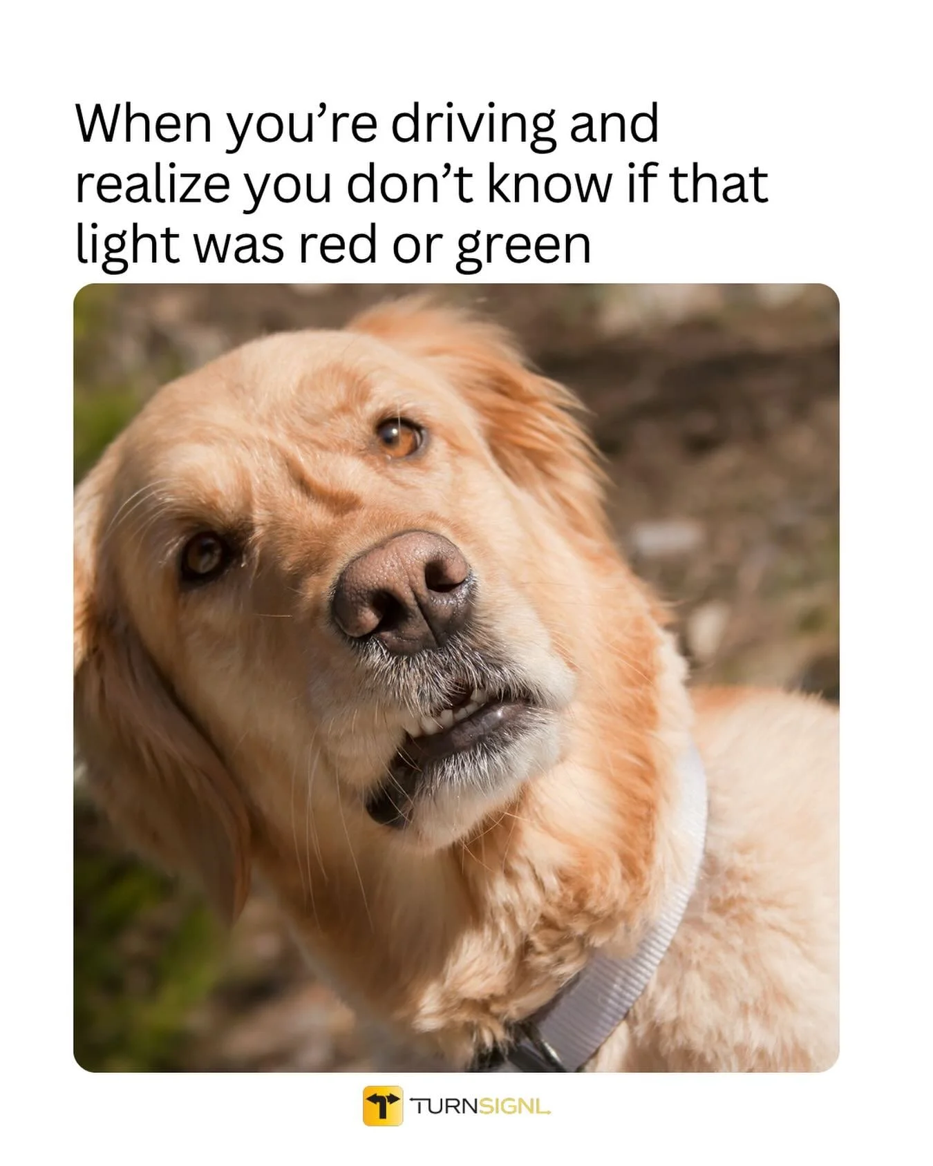 We&rsquo;ve all been there! No thoughts, just vibes. 

Moments like this are why staying focused matters. And why being prepared never hurts. 

#safedriving #relateable #drivingmemes #carhumor #legaltech
