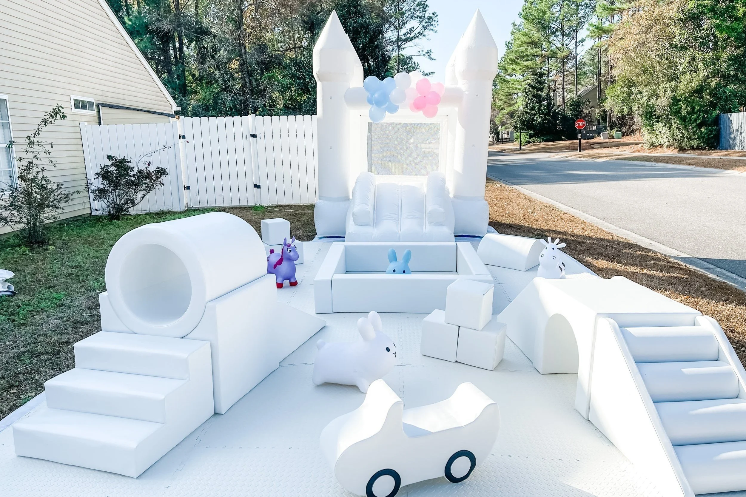 Charleston White Bounce House Party Rentals Little Babes of Charleston