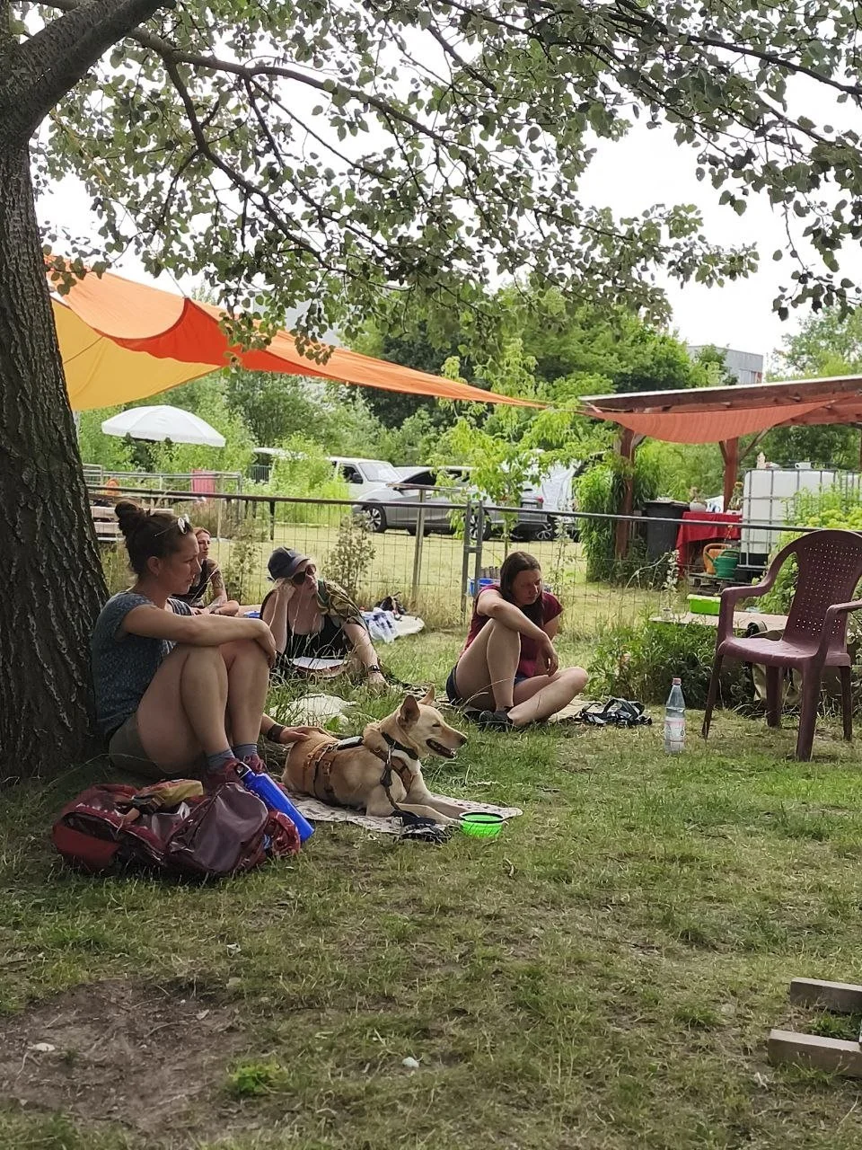Hundeseminar Berlin Fortbildung.jpg
