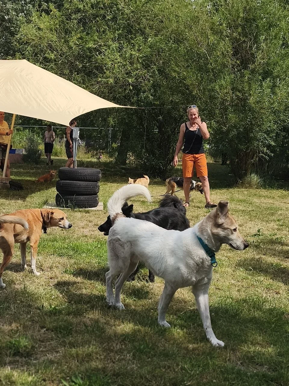 Hunde Veranstaltung Berlin.jpg