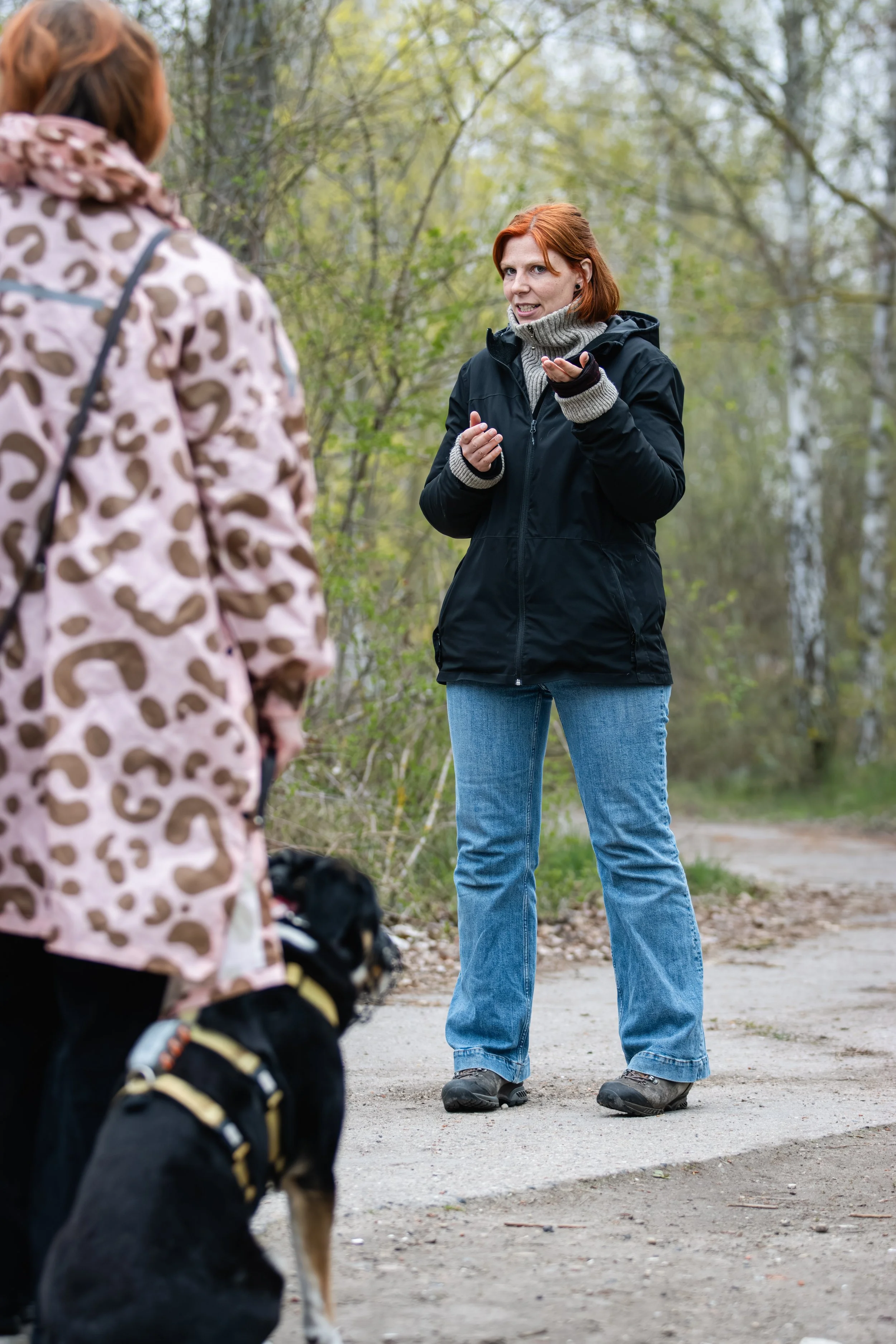 Seminar Hundetraining Berlin.jpg