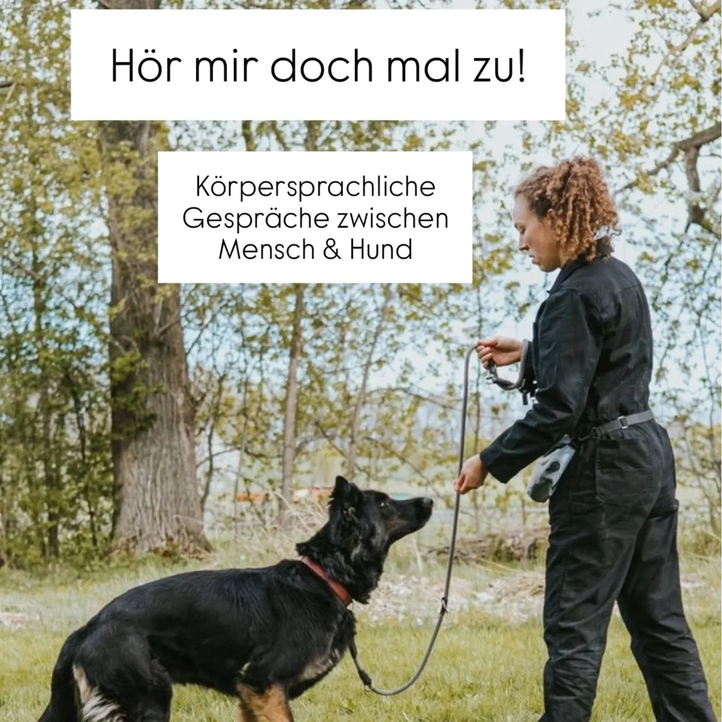 H&ouml;r mir doch mal zu! Hunde k&ouml;rpersprachlich im Gespr&auml;ch halten. Ein Tagesworkshop am 25.10.25

Euer Hund ist oftmals gar nicht so richtig ansprechbar? Ihr ruft und er rennt trotzdem zu anderen Hunden, hat die Nase im Geb&uuml;sch und s