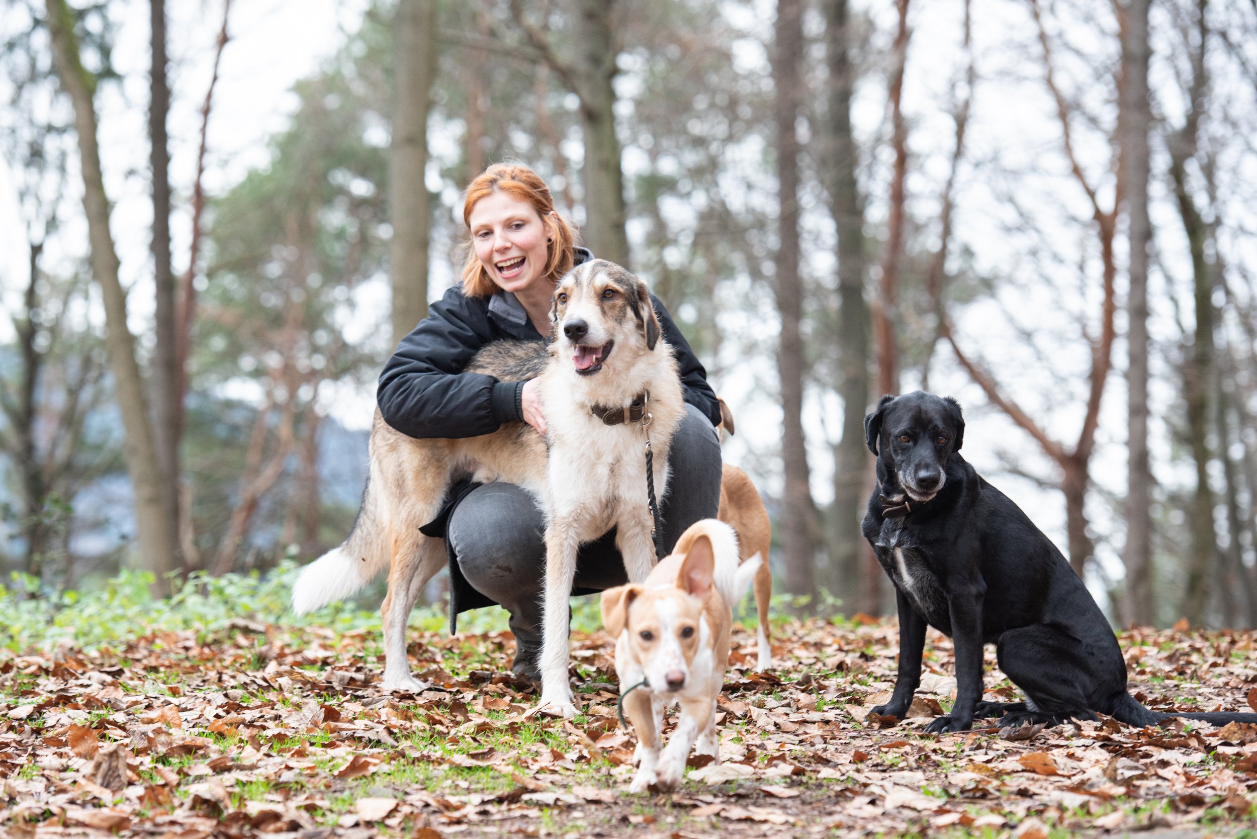Das Private ist Politisch.       Auch im Hundetraining.